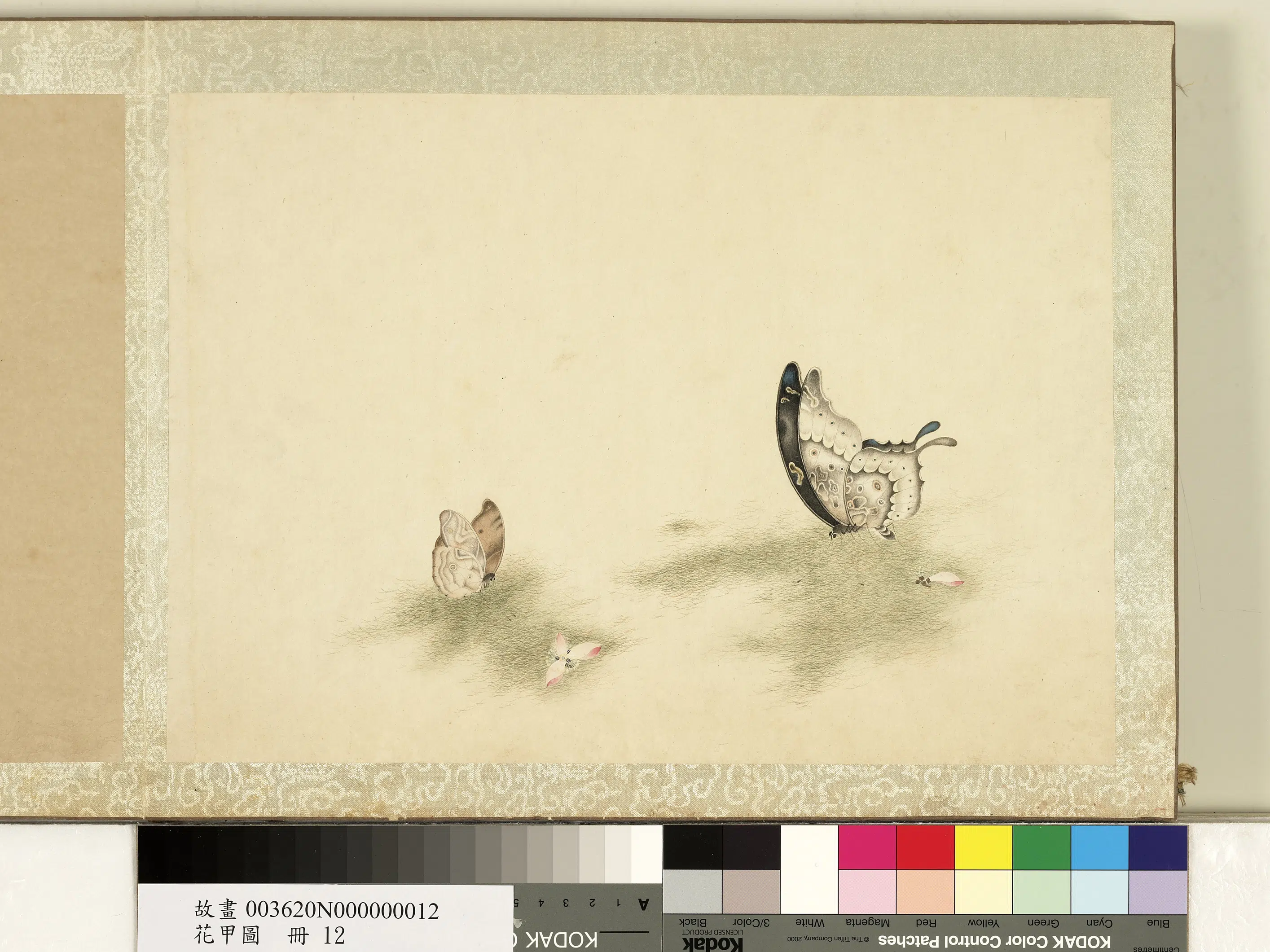 《花甲图册》 第13张 《花甲图册》 第13张