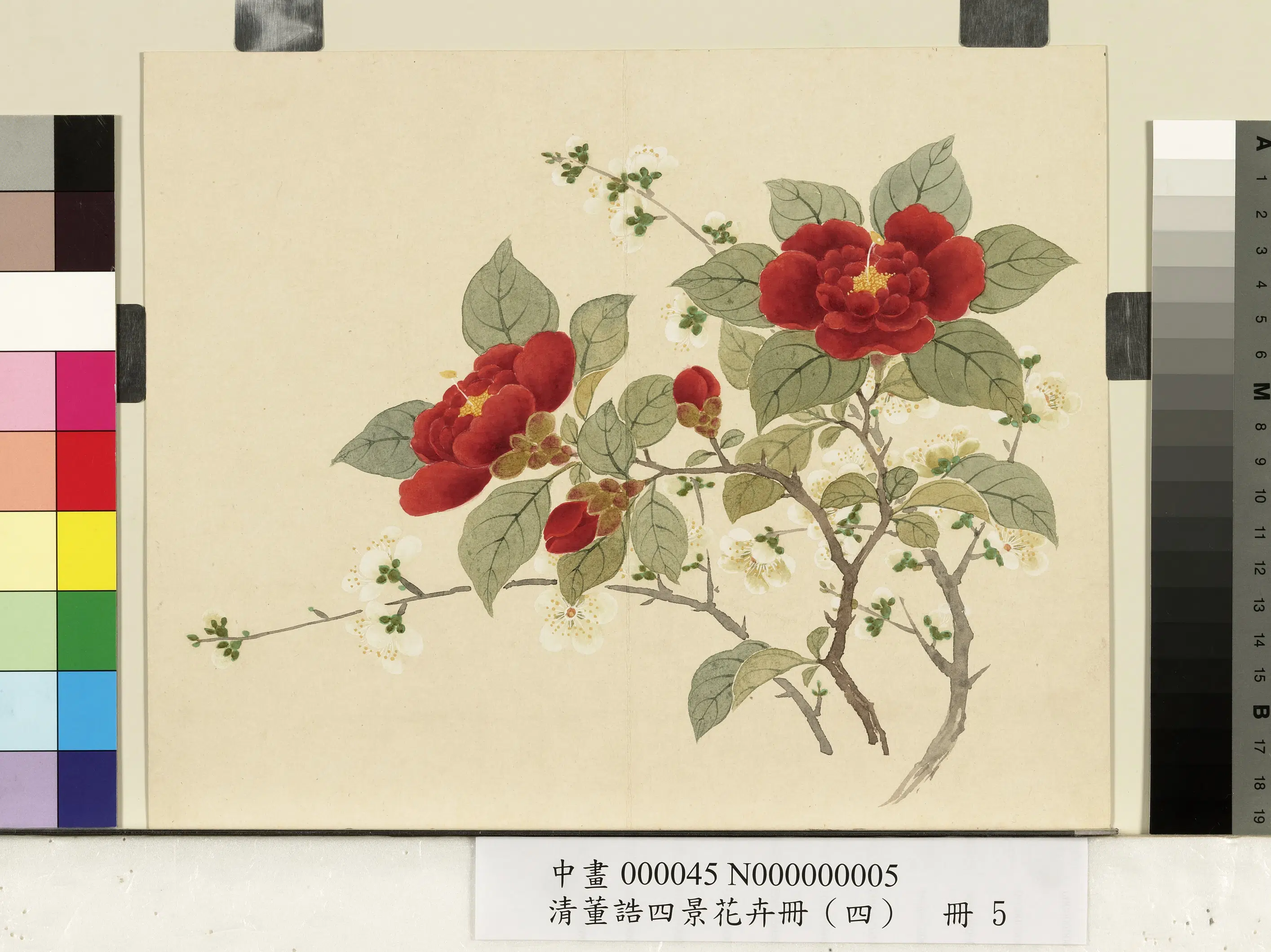 清代【董诰】《四景花卉（四）册-冬景花卉之五》 第1张