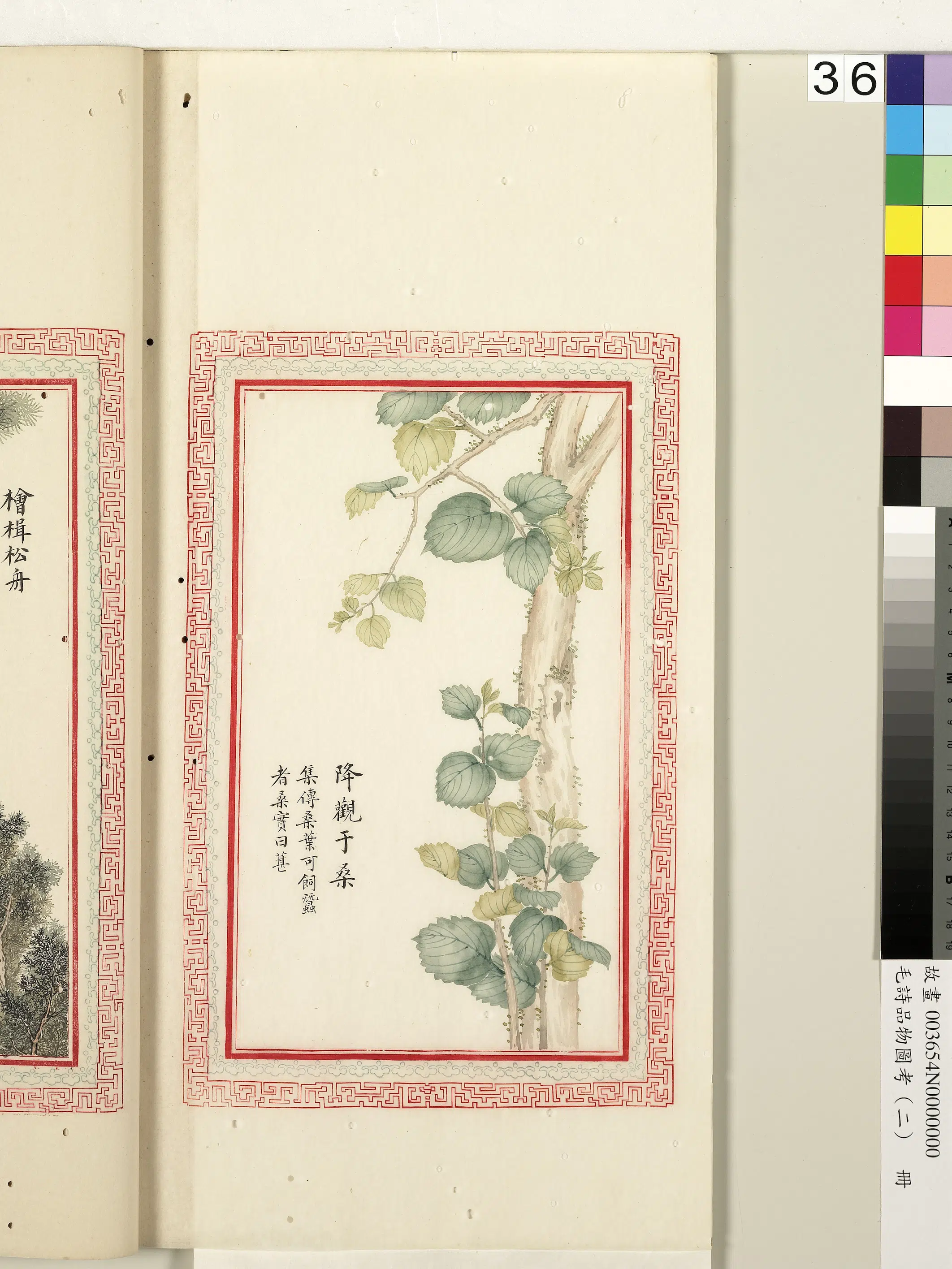 清代《毛诗品物图考(二)册-1》 第56张 清代《毛诗品物图考(二)册-1》 第56张