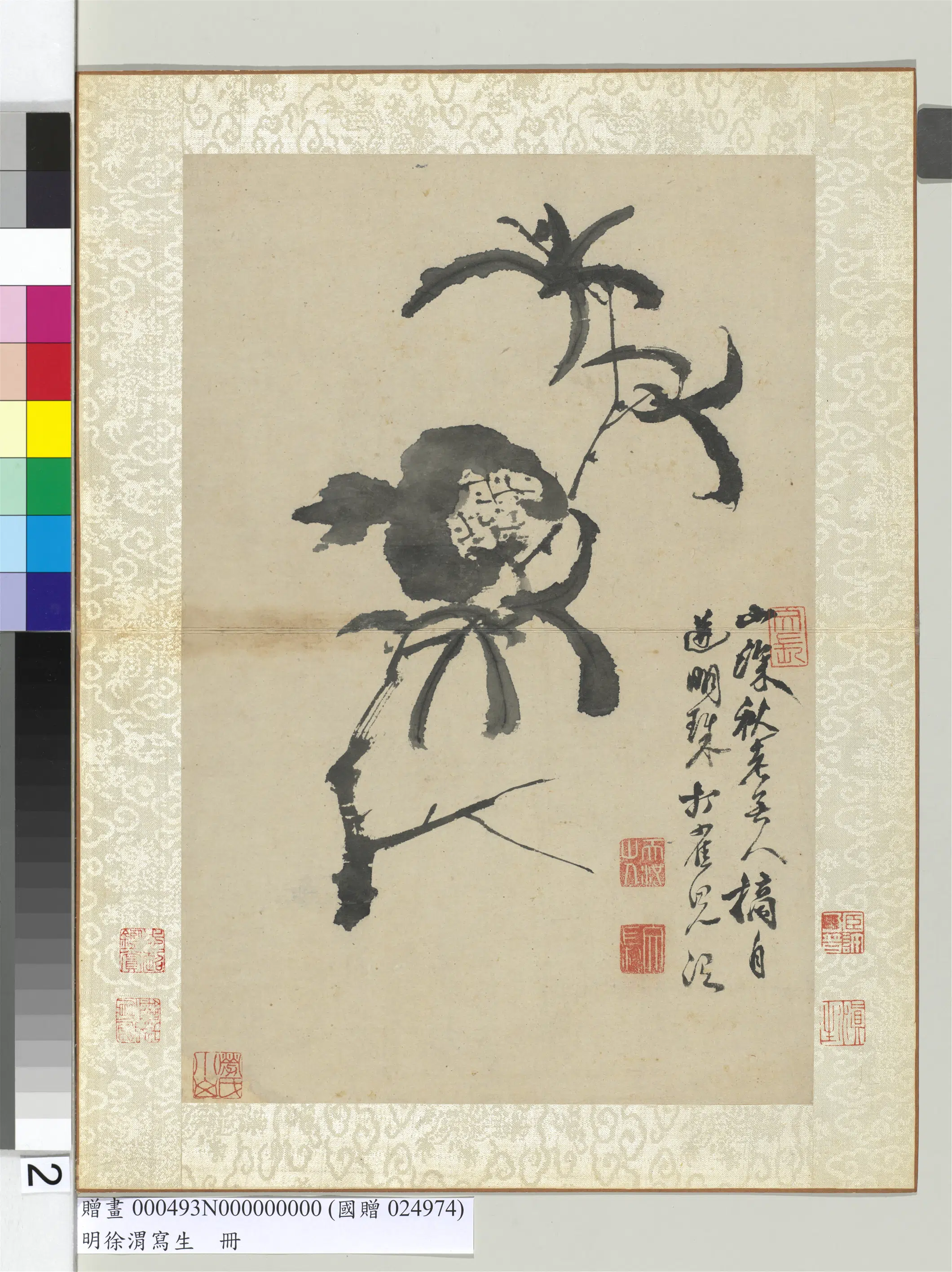 明朝【徐渭】《写生册-水墨直幅画石榴》