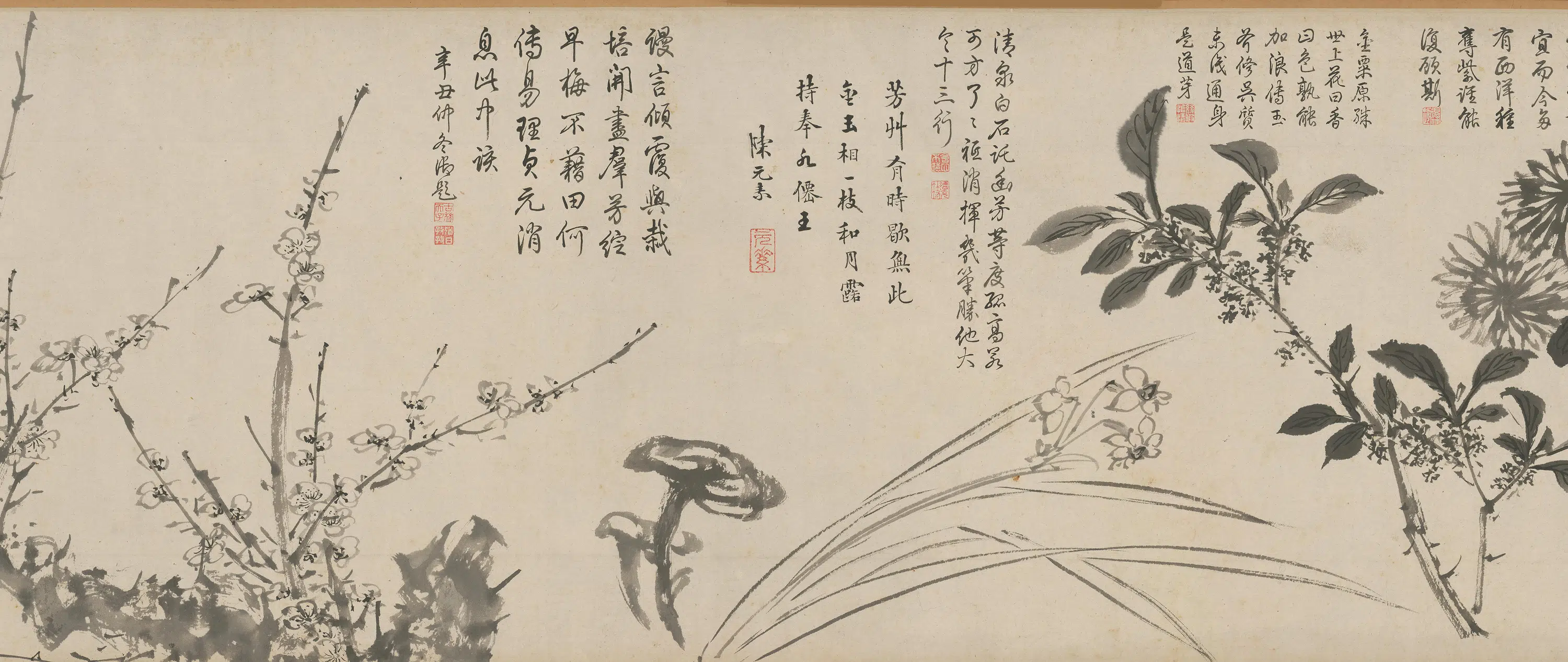 明朝【周之冕】《百花图卷》 第5张 明朝【周之冕】《百花图卷》 第5张