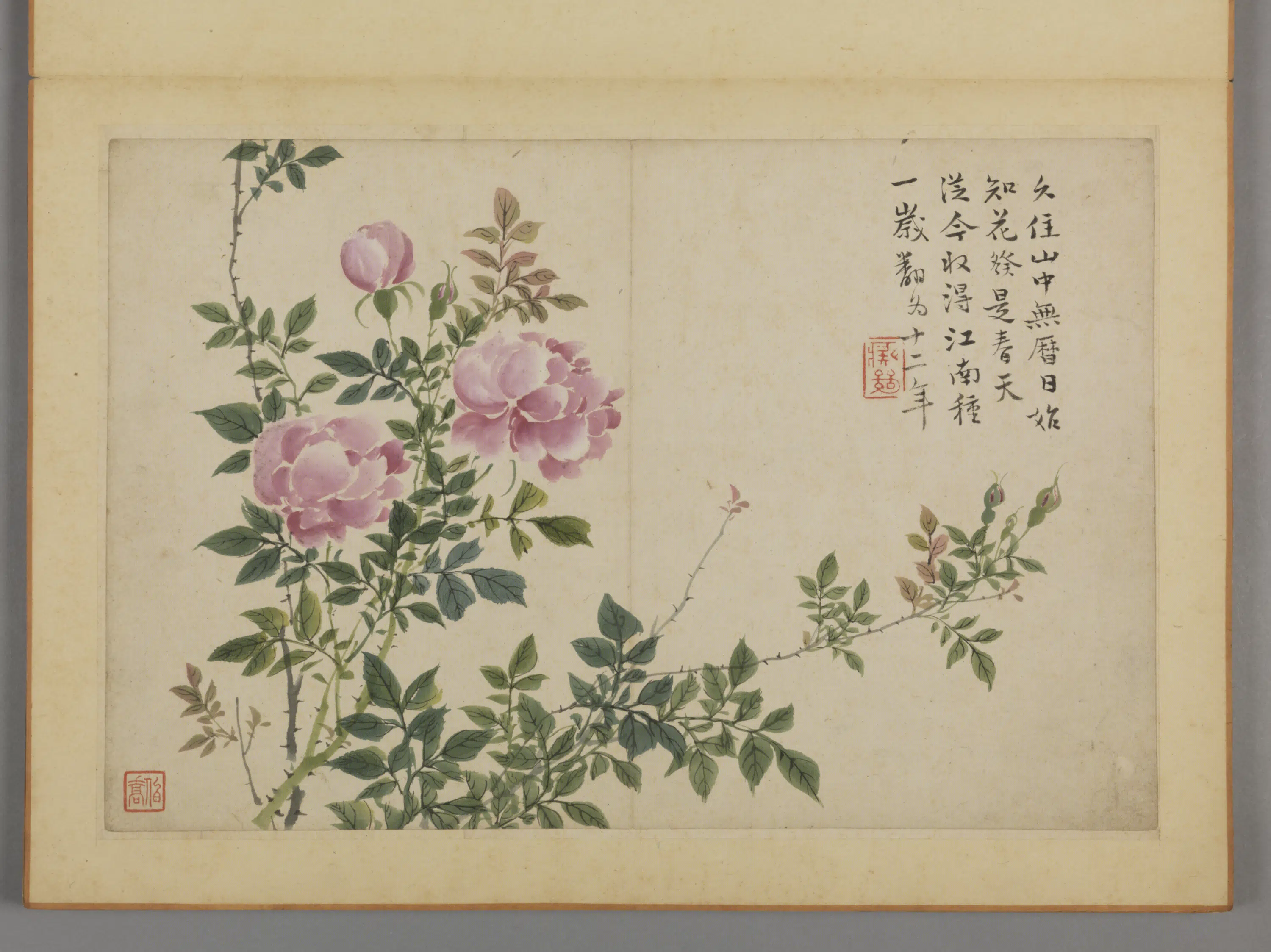 清代【蔡嘉】《花卉图册（12开）》 第9张