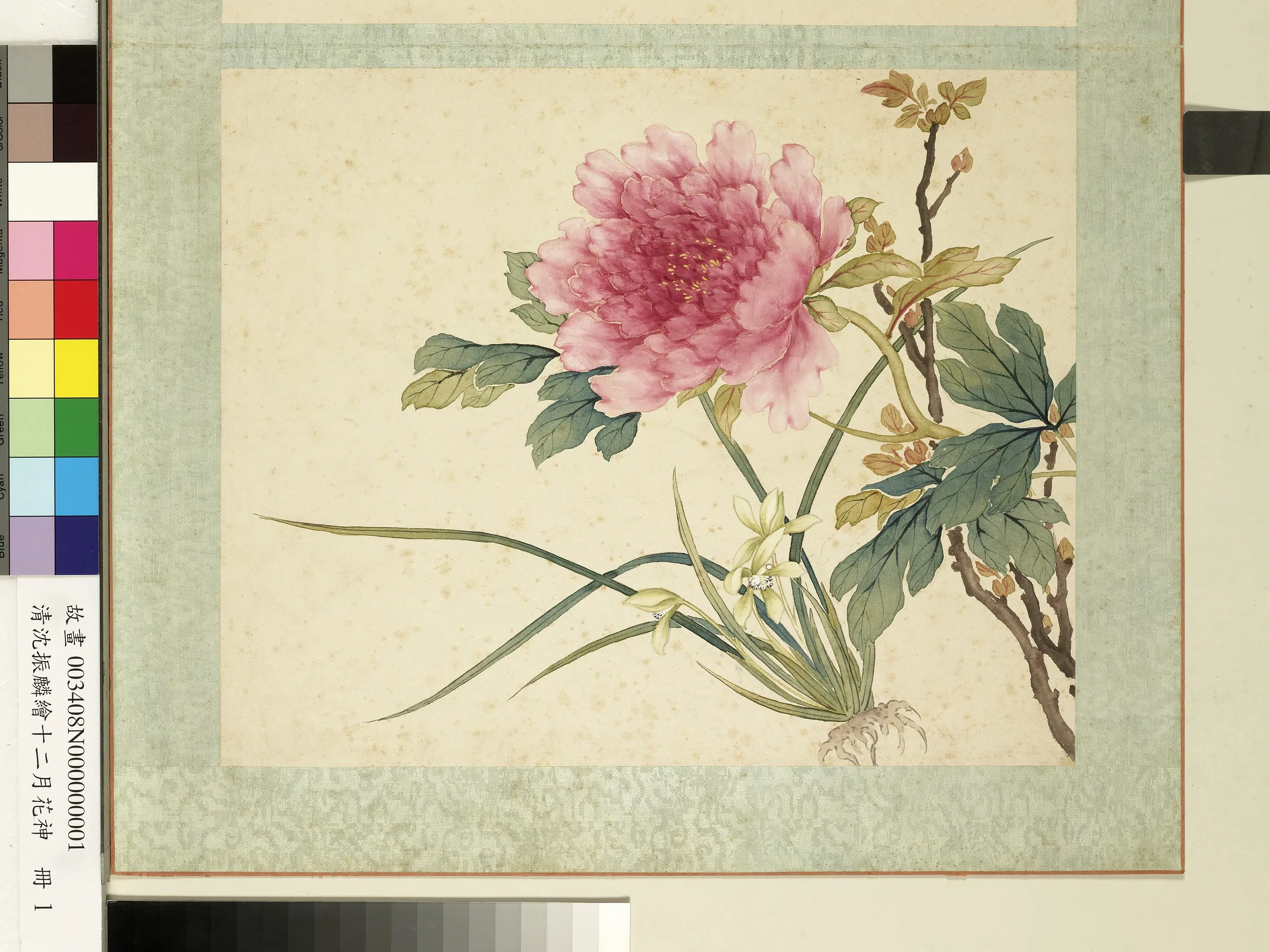 清朝【沈振麟】《绘十二月花神册_兰花牡丹》