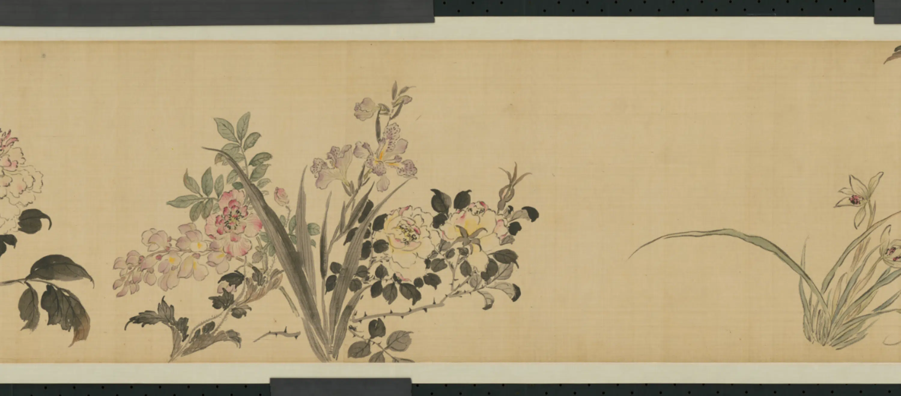 清代【蒋廷锡】《花卉图卷》 第5张