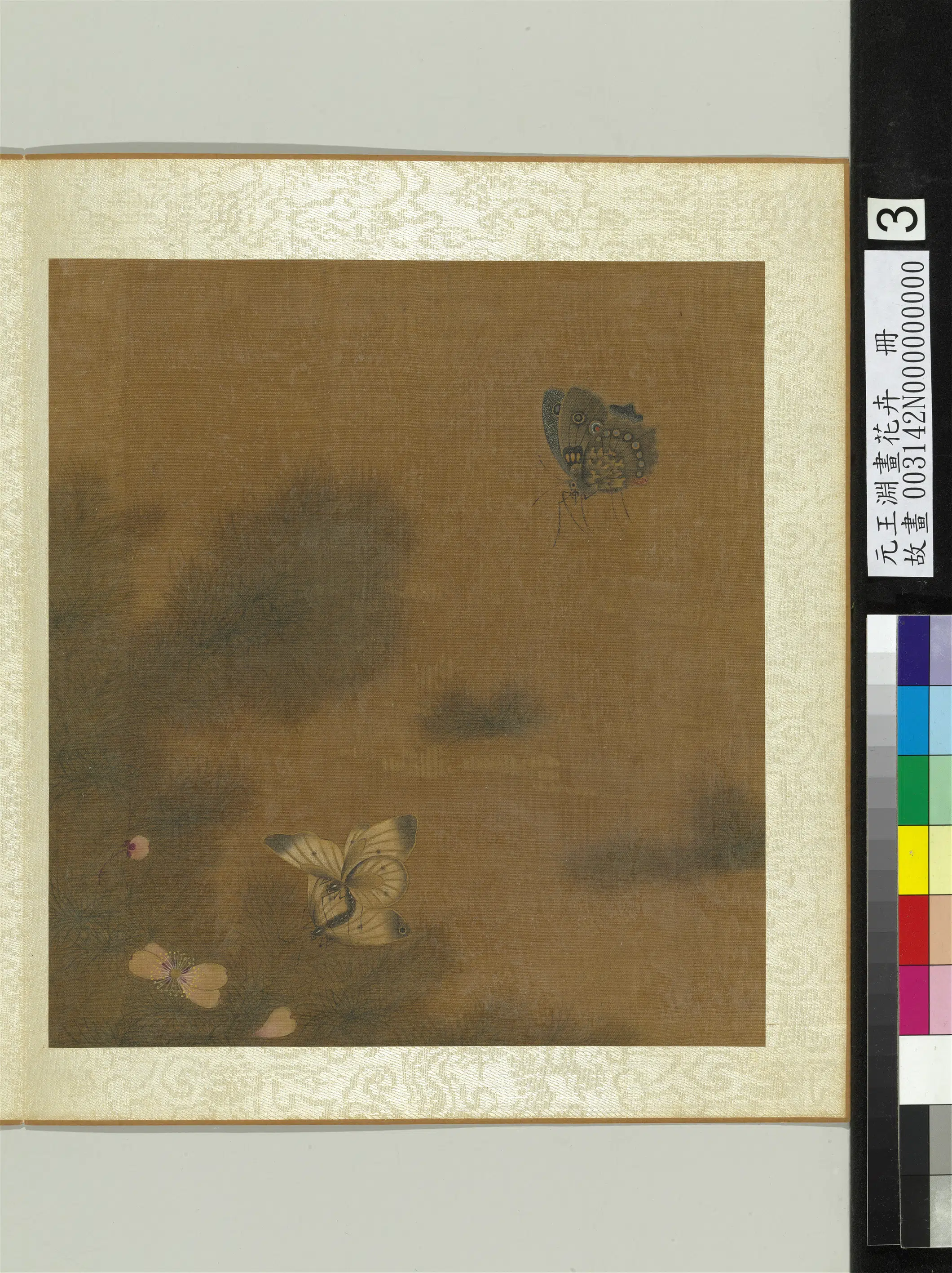 元朝【王渊】《画花卉册》 第6张 元朝【王渊】《画花卉册》 第6张