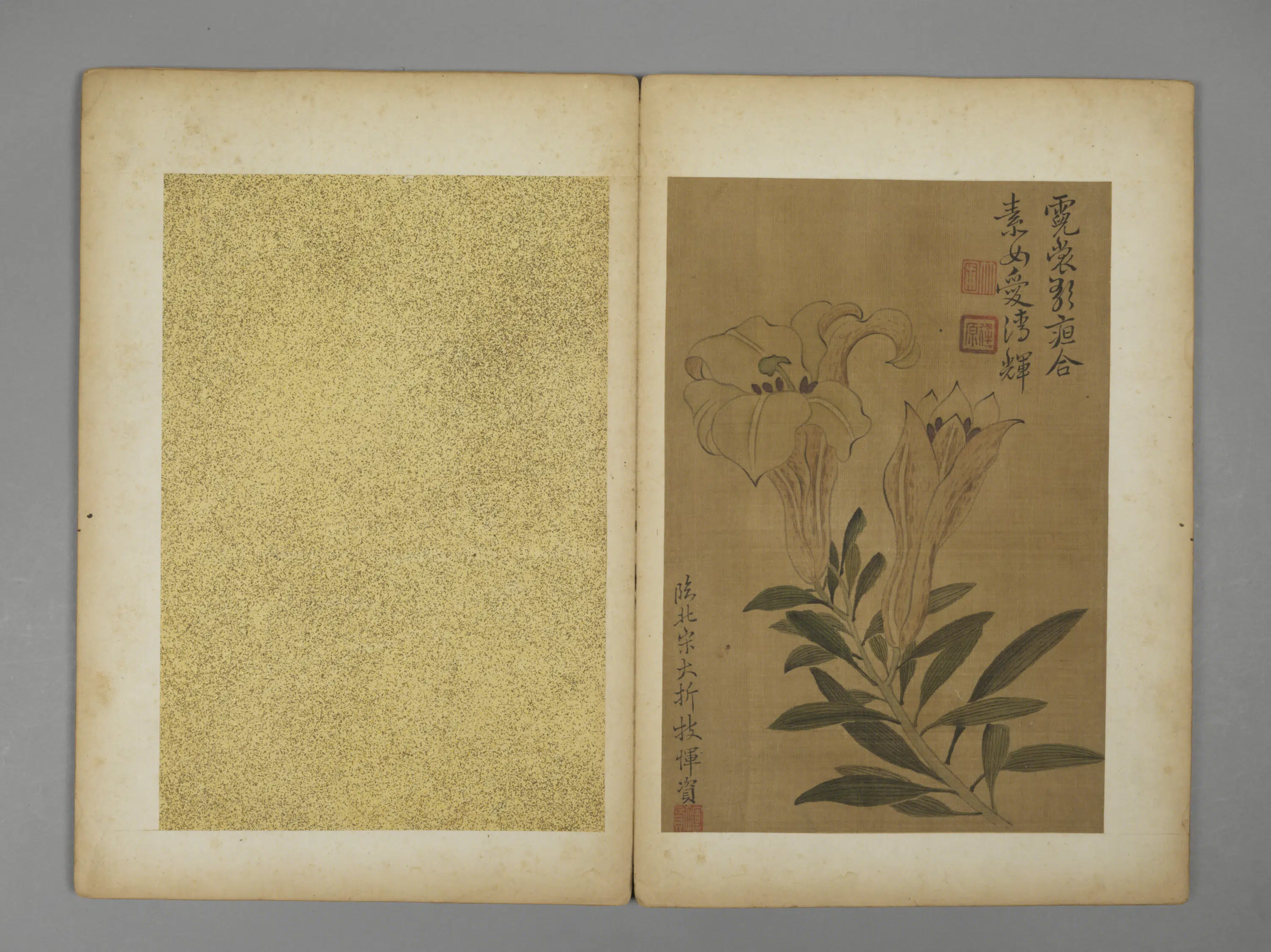 清代【恽资】《花卉册》 第2张