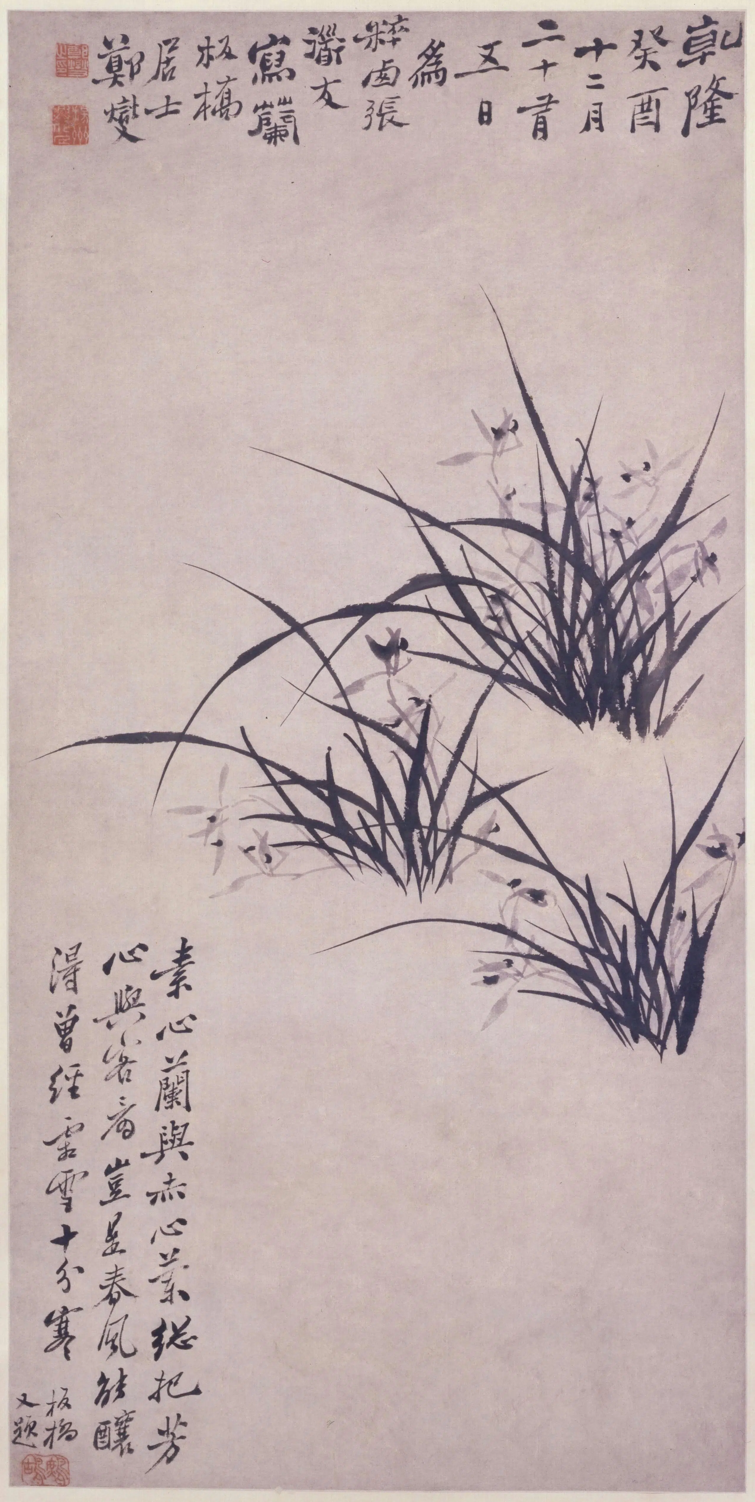 清代【郑夑】《兰花图轴》