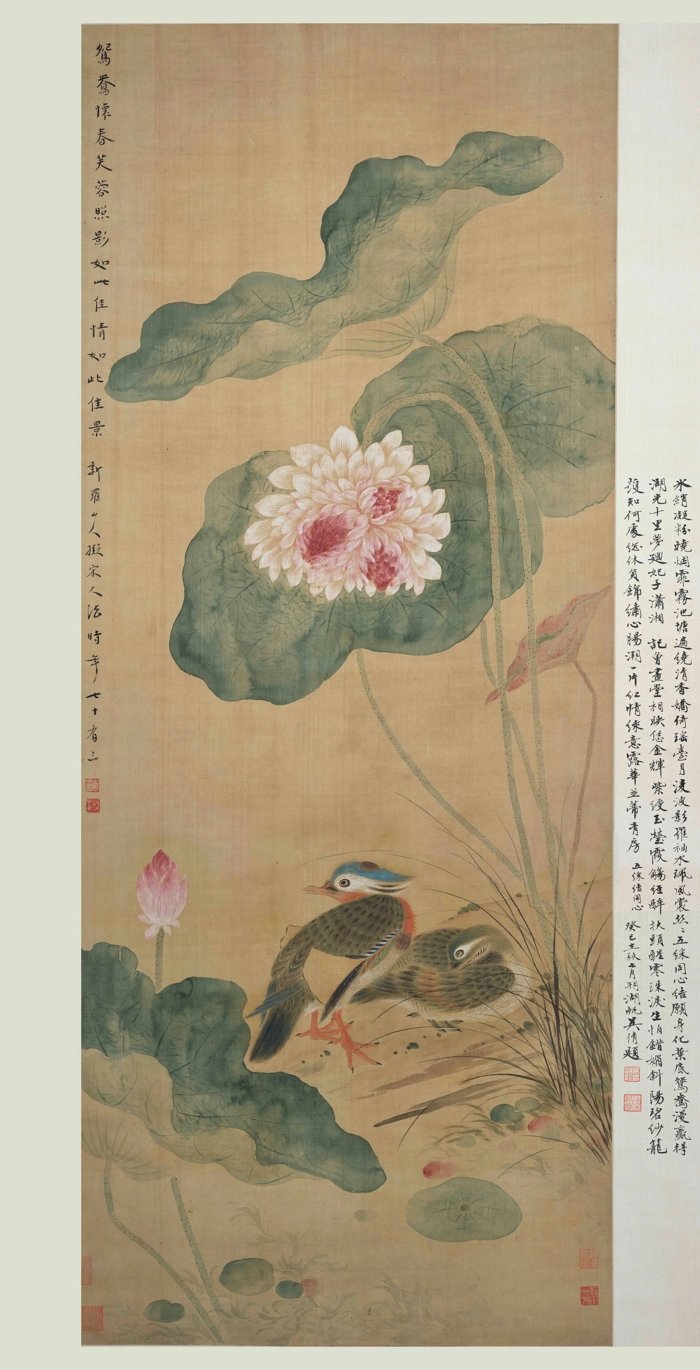 清代【华喦（华岩)】《荷花鸳鸯图轴》
