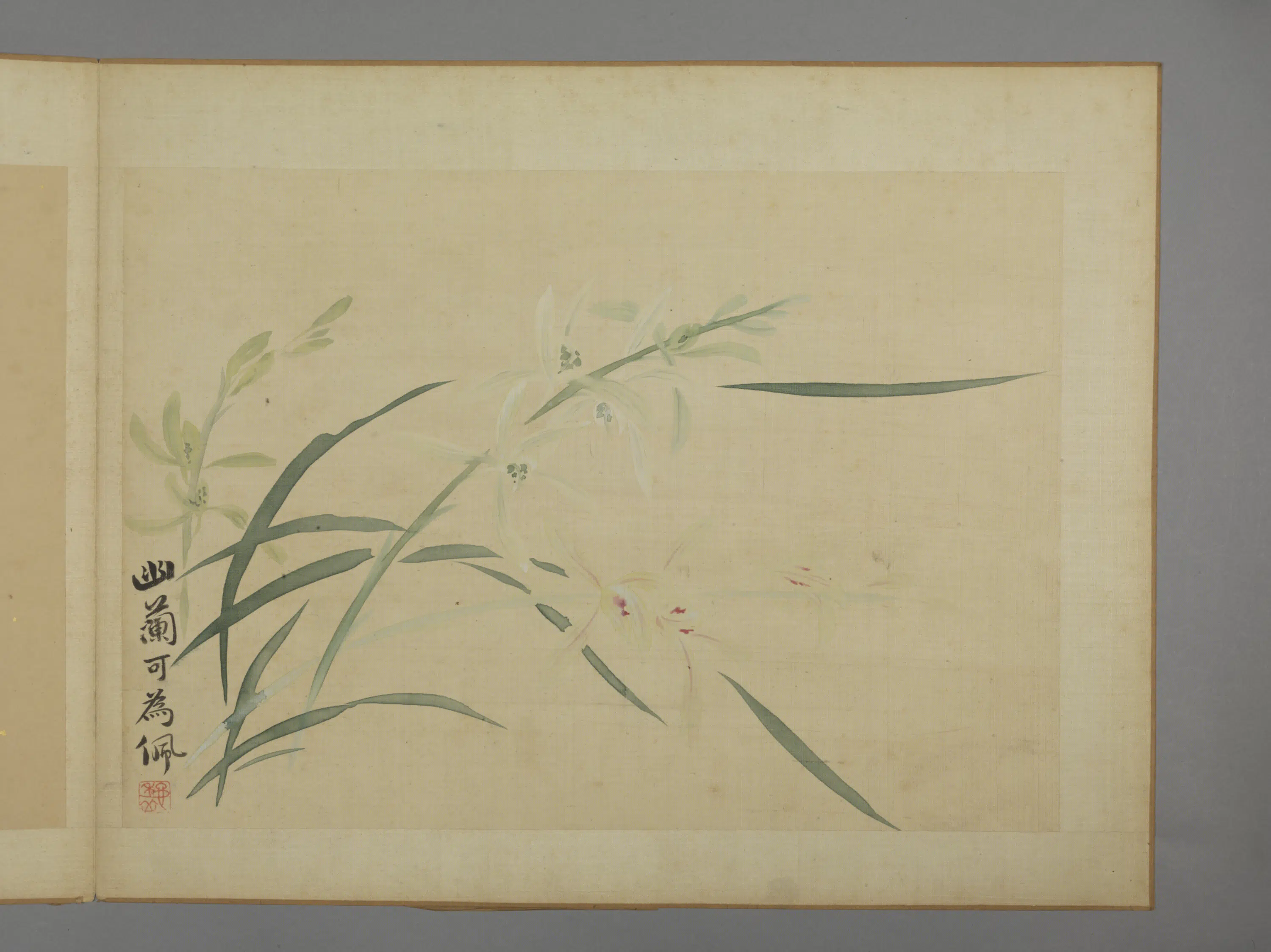 清代【华喦】《花卉图册（11开）》 第10张