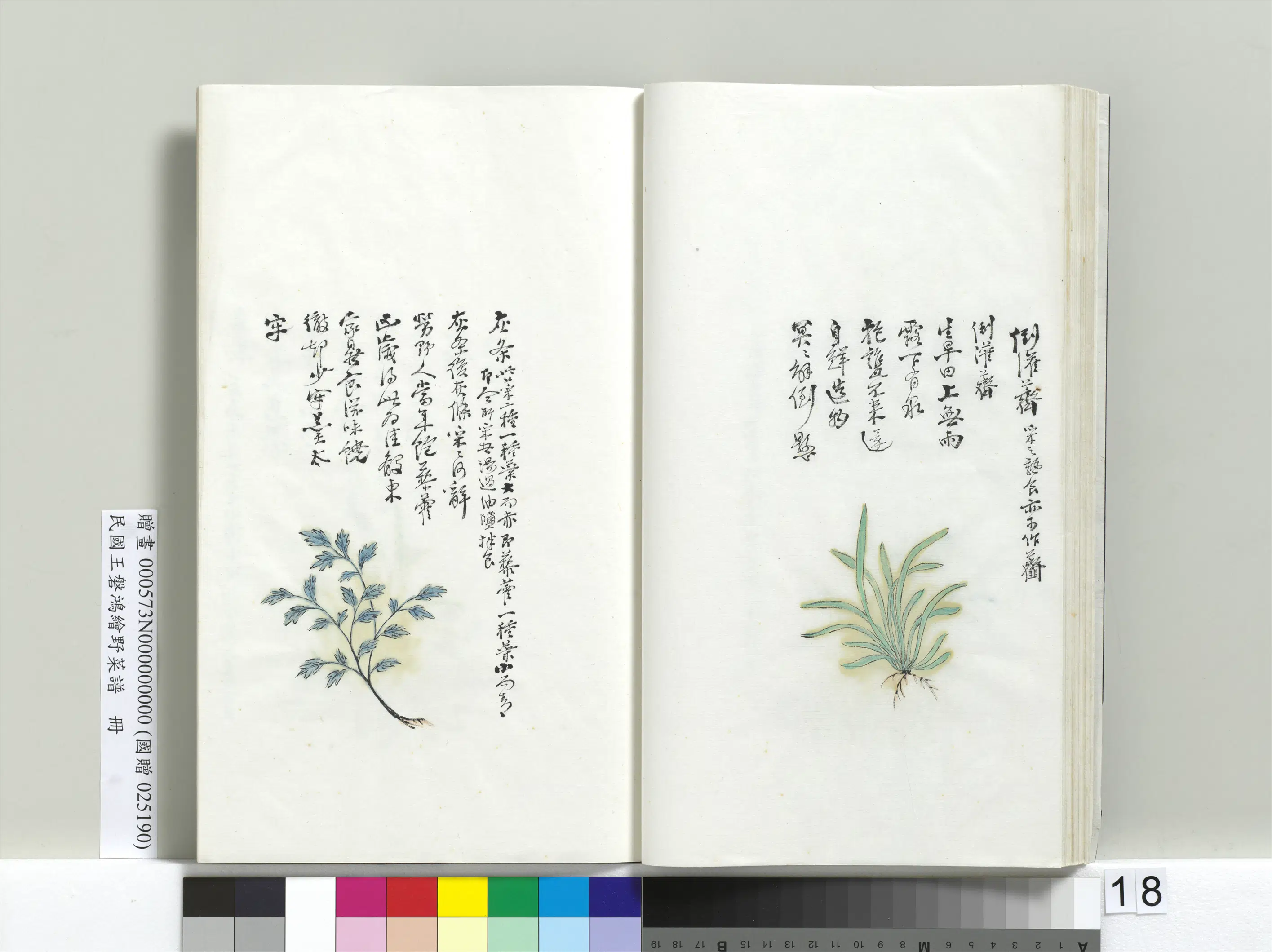 《绘王盘野菜谱册-灰条》