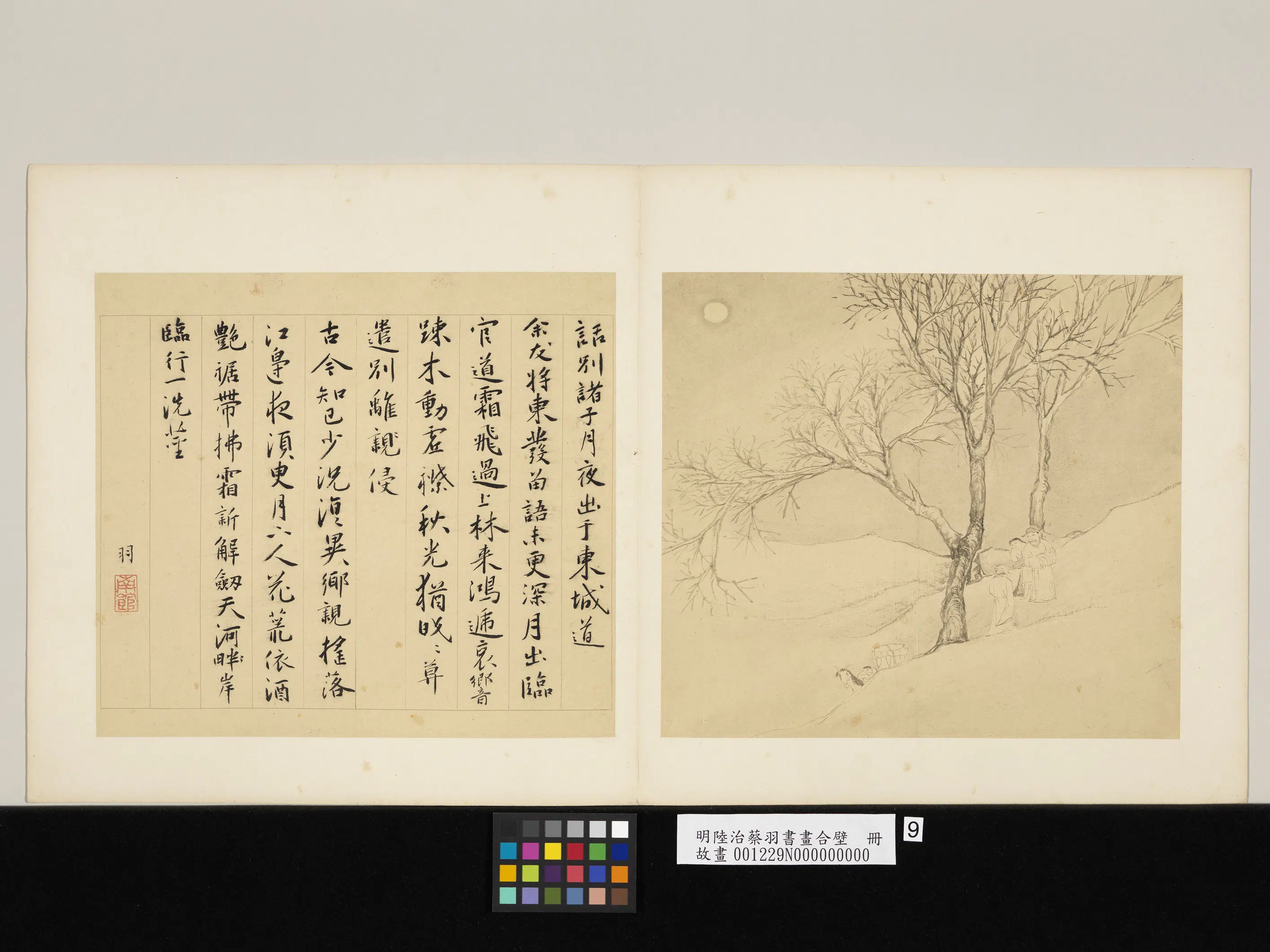 明代【陆治】《蔡羽书画合璧册》 第4张
