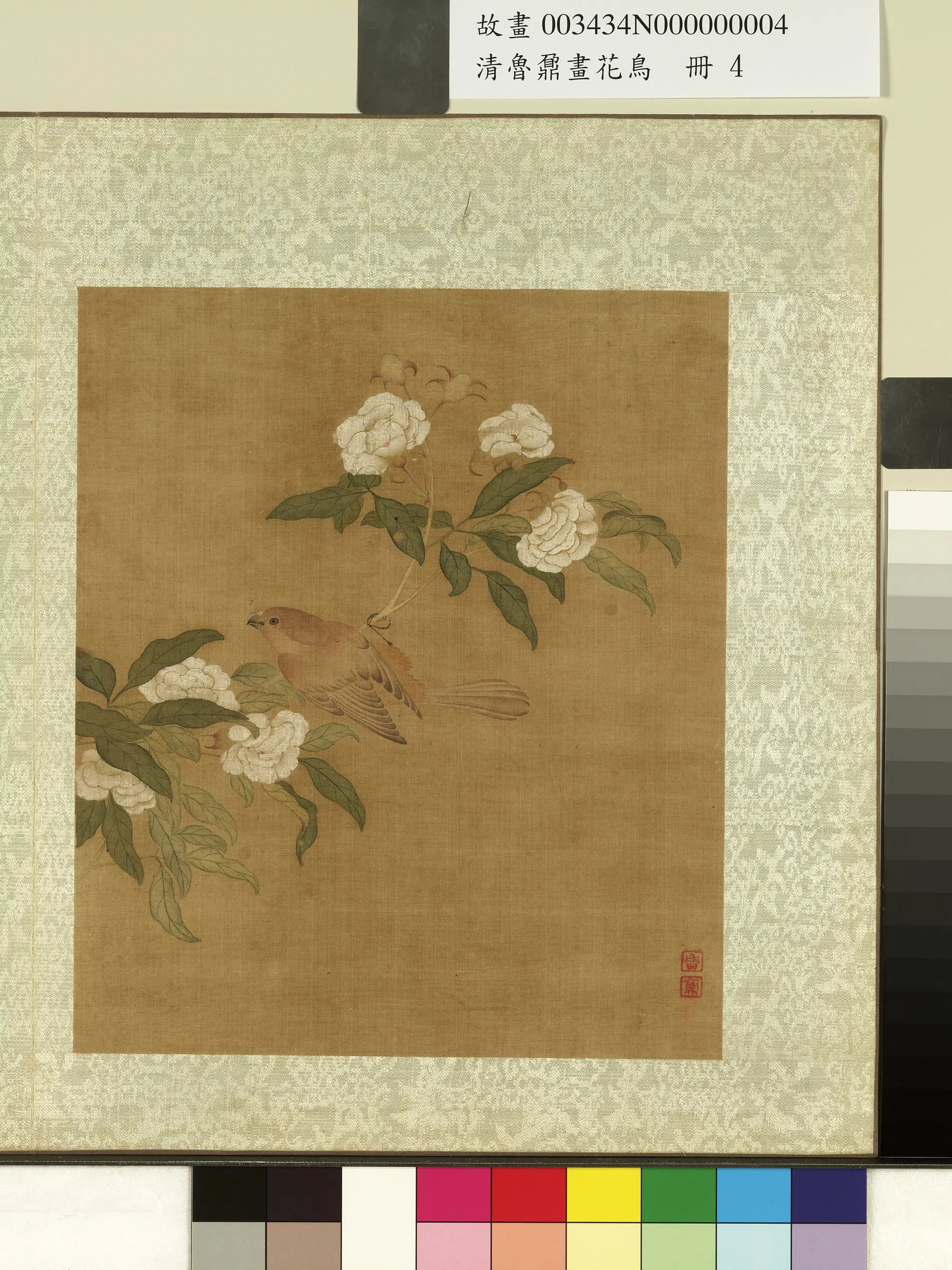 清代【鲁鼐】《画花鸟册》 第4张