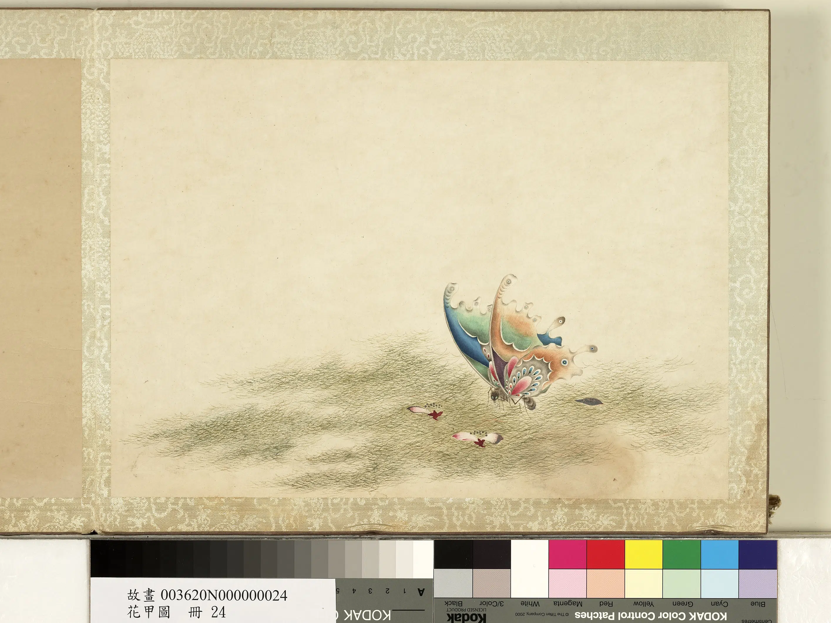 《花甲图册》 第23张 《花甲图册》 第23张