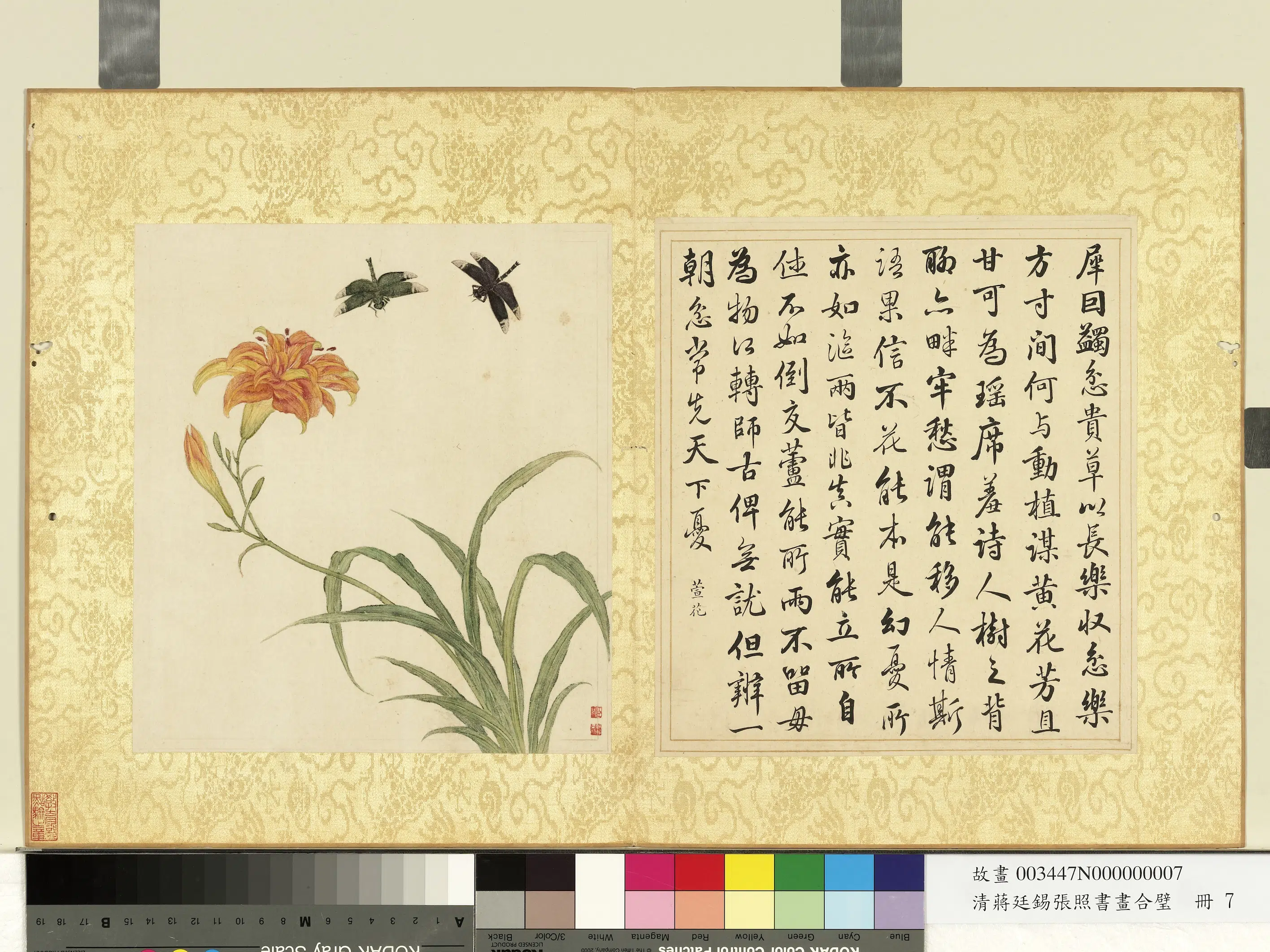 清代【张照蒋廷锡】《蒋廷锡张照书画合璧册-萱花蜻蜓》