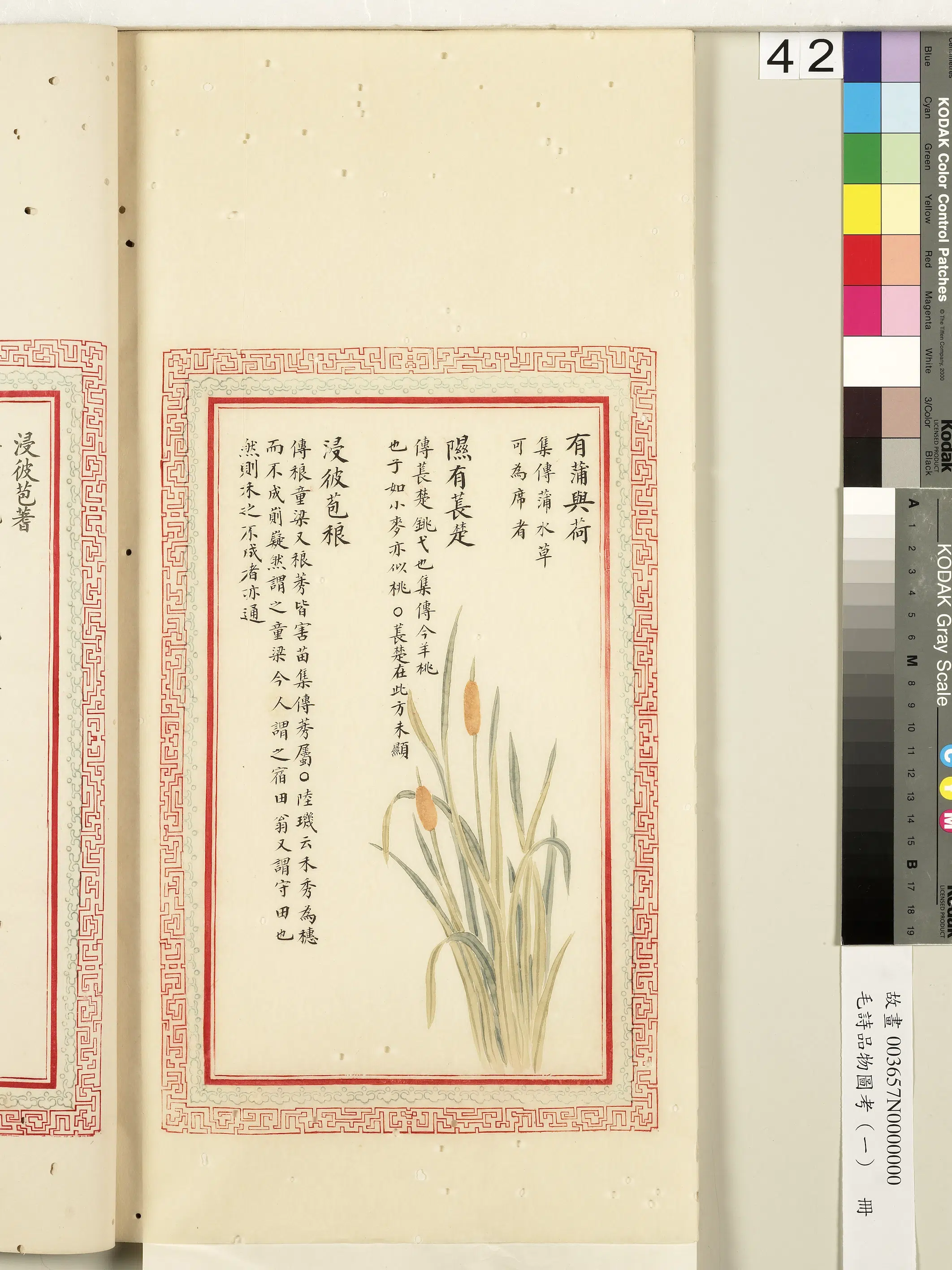 清朝《毛诗品物图考（一）册-2》 第30张