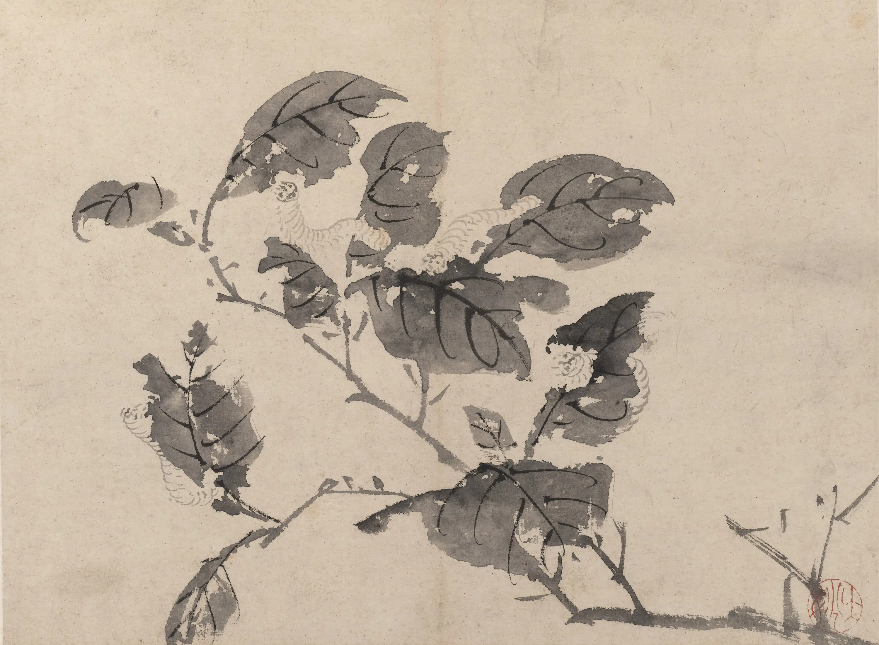 明朝【陈淳（道复）】《墨花图册》 第3张
