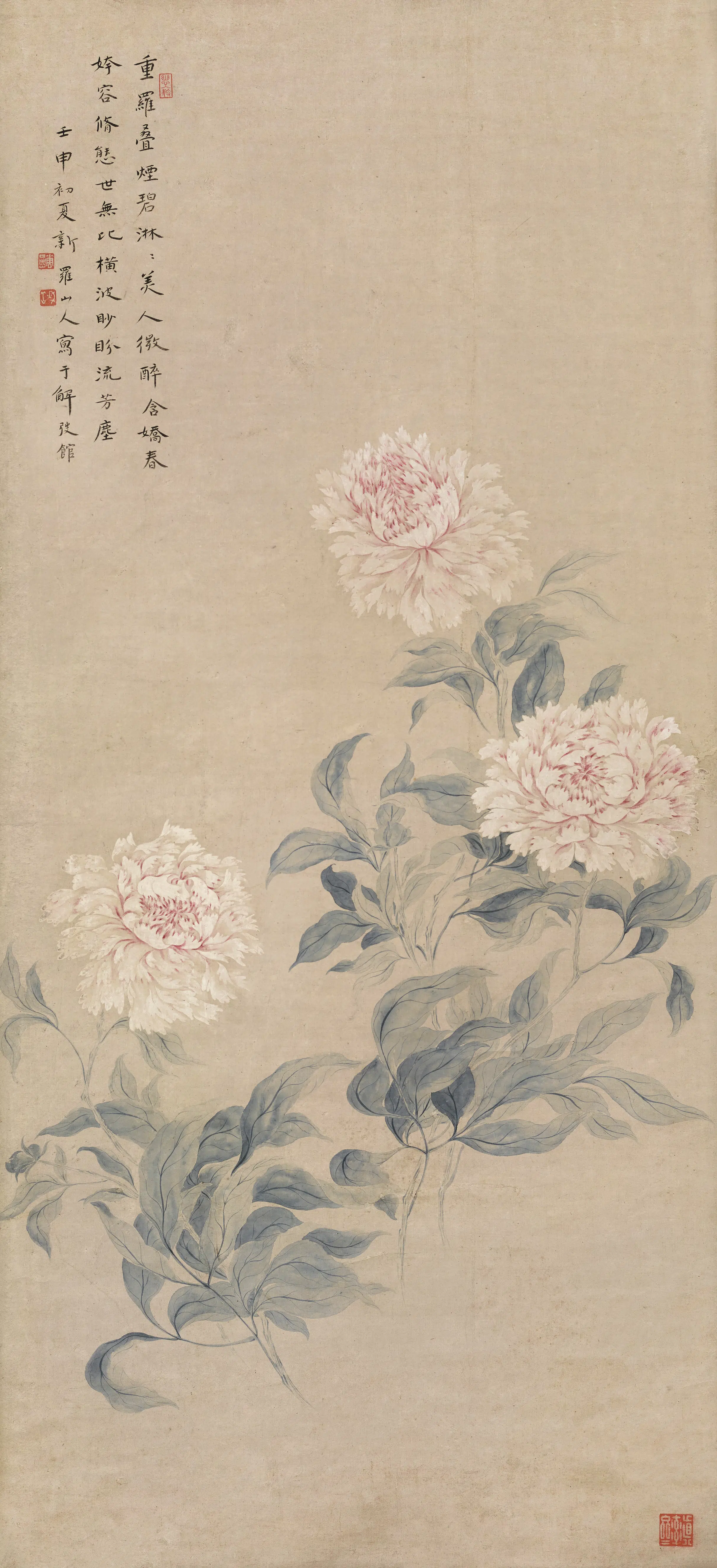 清代【华嵒】《芍药图轴》