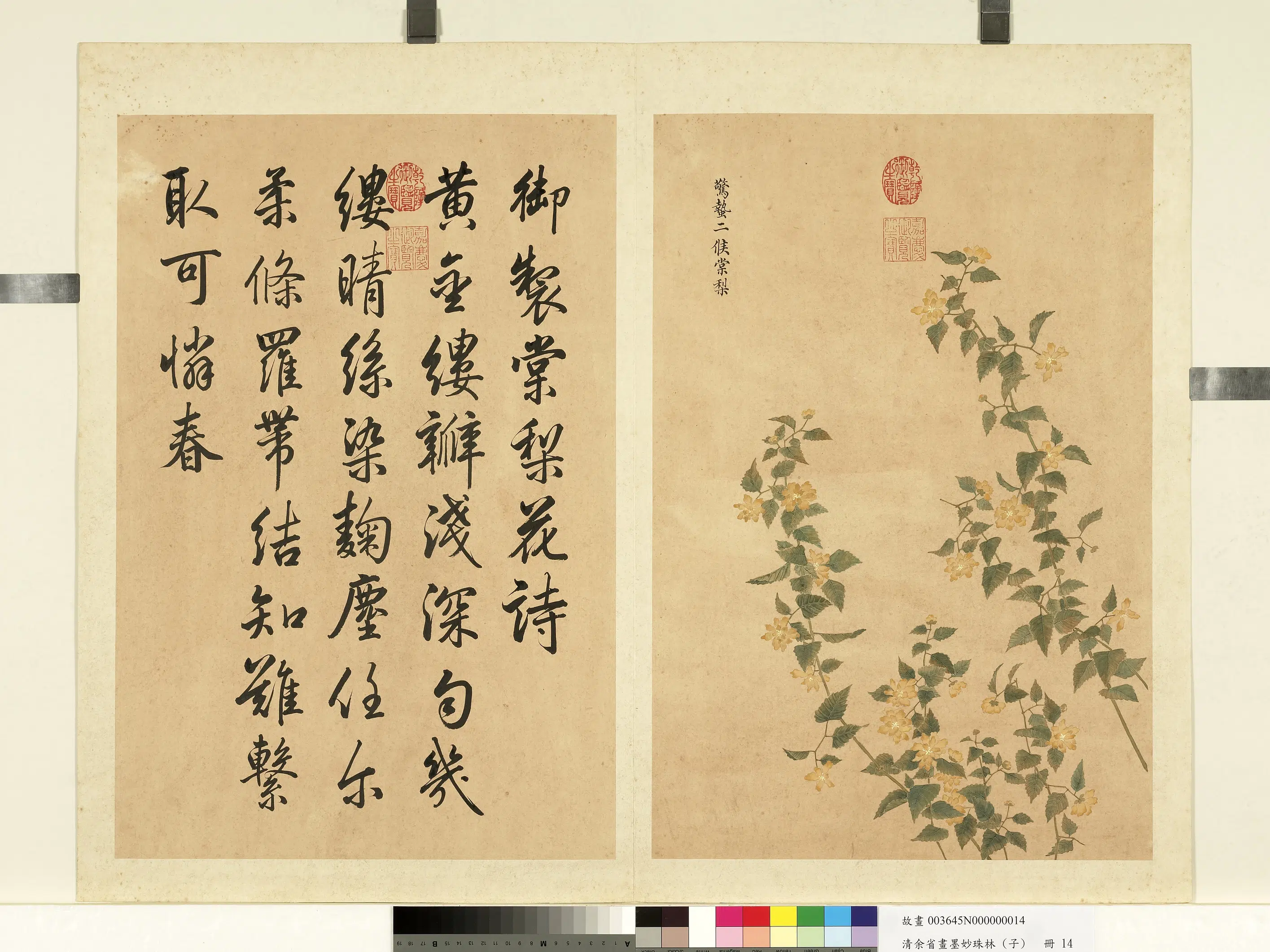 清代【余省】《画墨妙珠林（子）册》 第9张