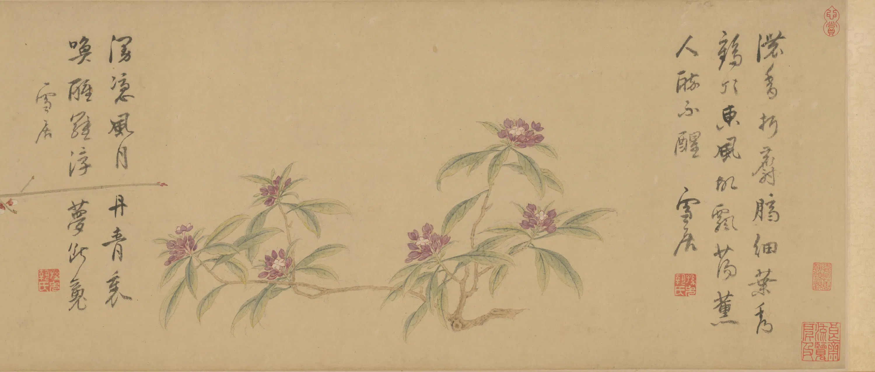 明朝【孙克弘】《百花图卷》 第12张