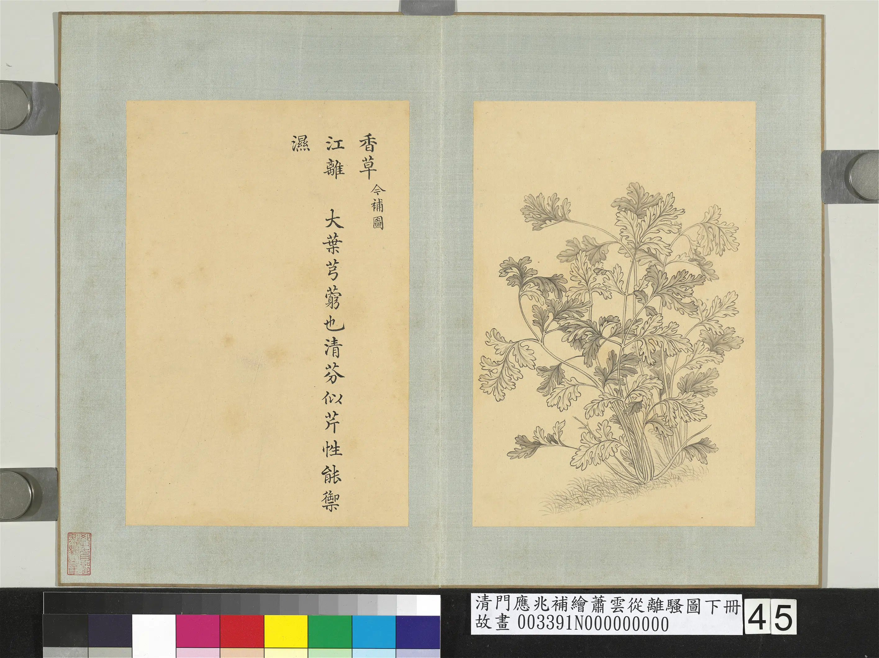 清代【门应兆】《补绘萧云从离骚图下册-香草》