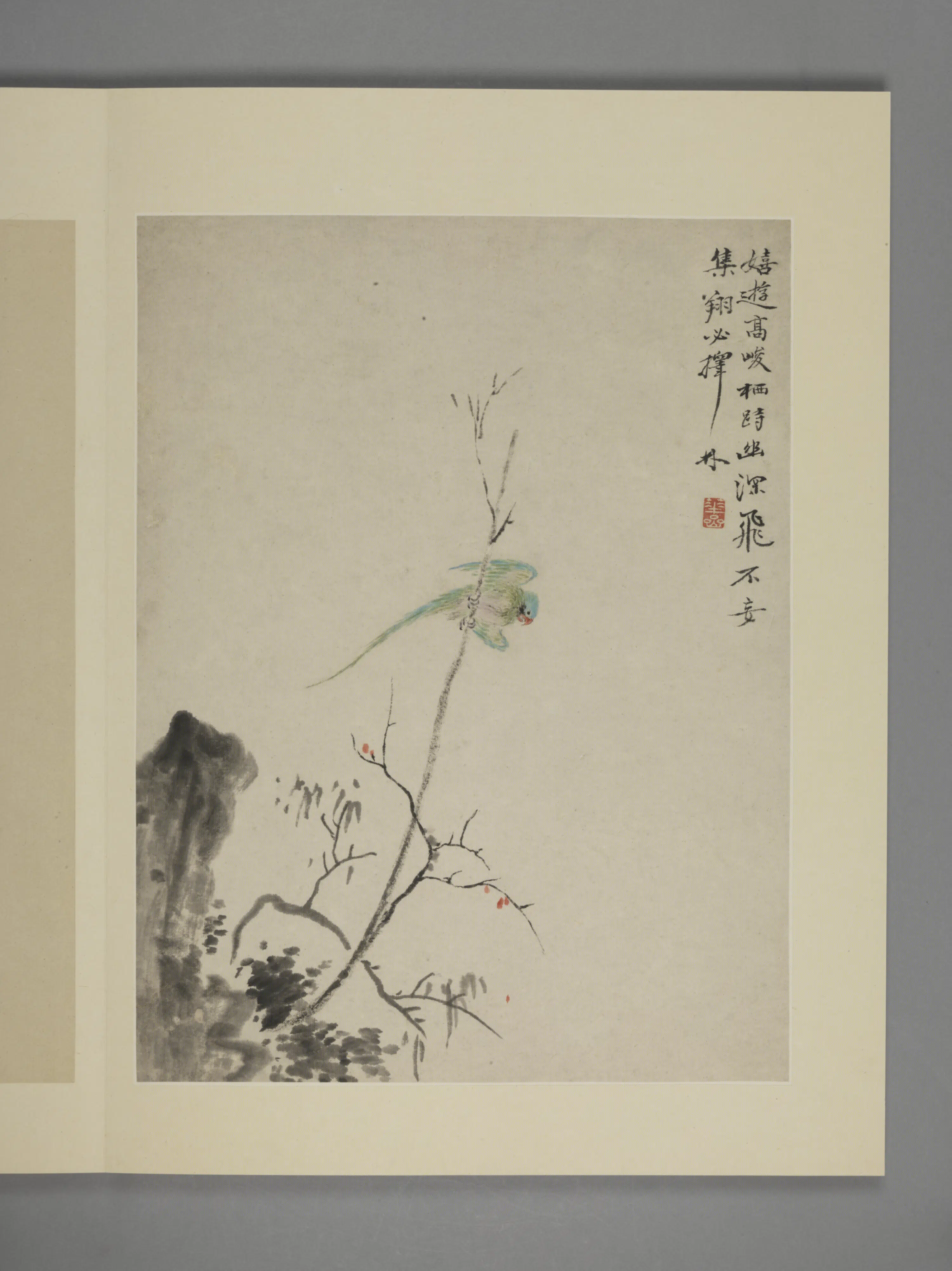 清代【华喦】《花鸟图册（11开）》 第5张