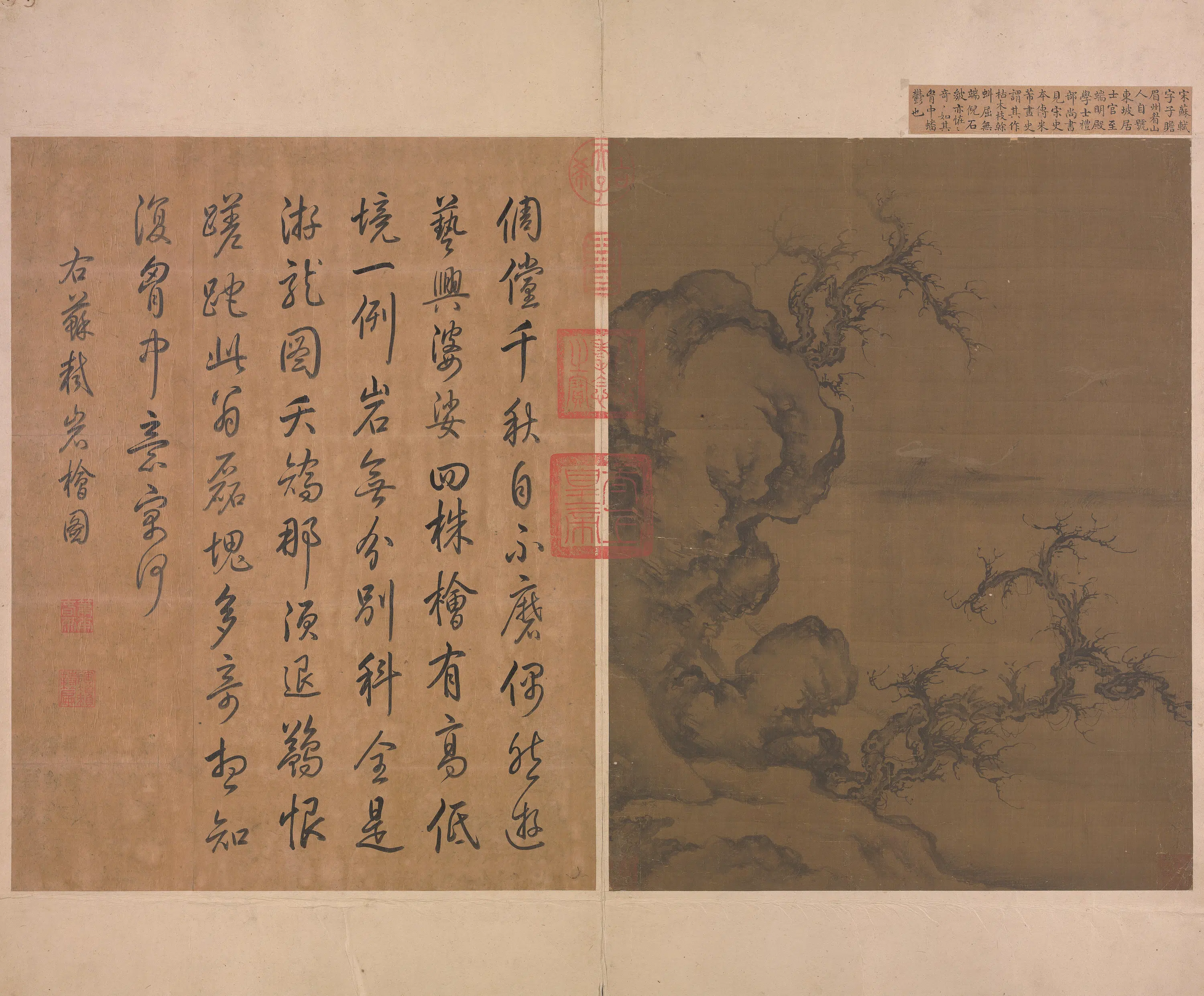 宋代【佚名】《宋人岩桧图册页》