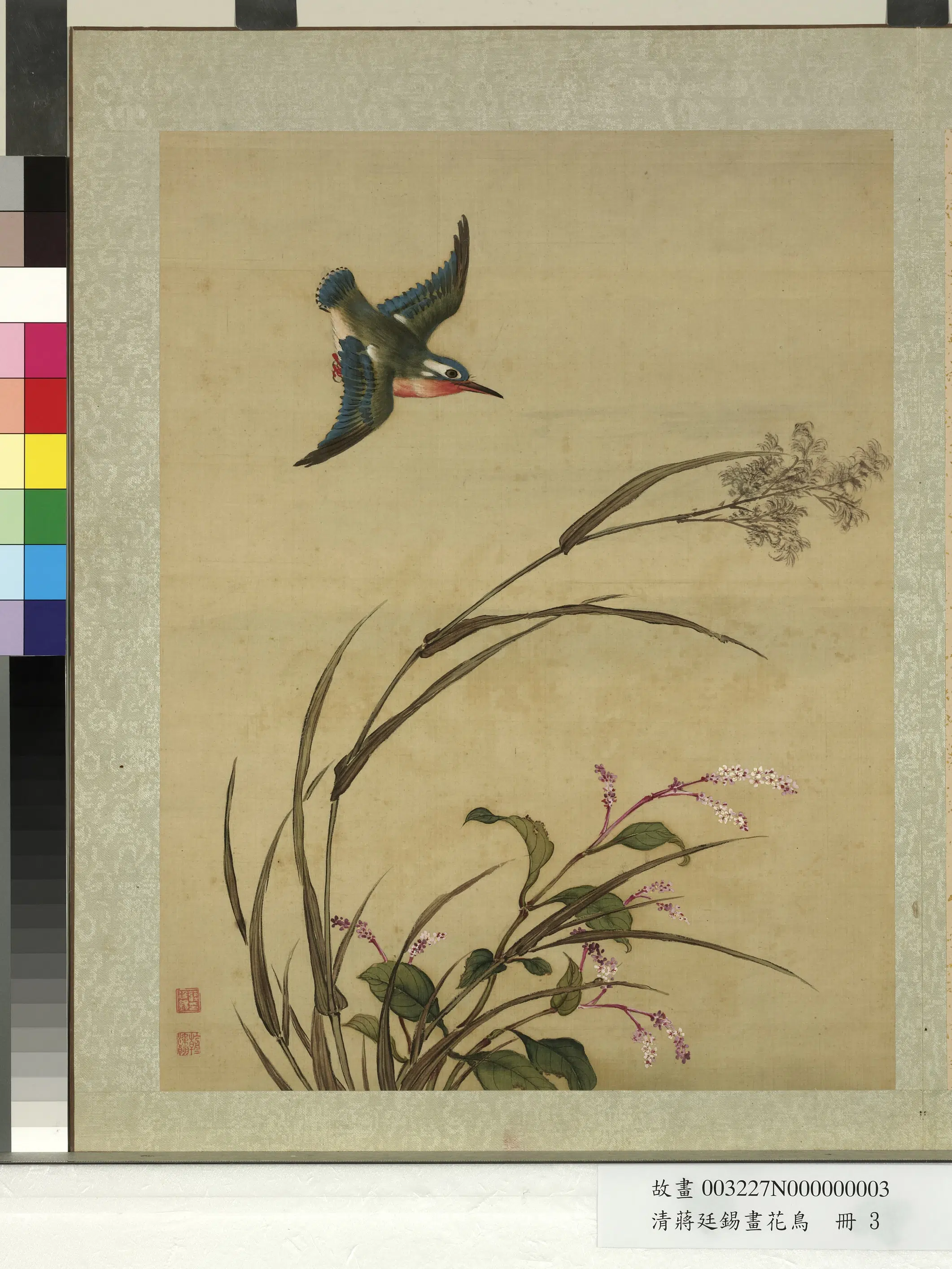 清代【蒋廷锡】《画花鸟册-1》 第9张
