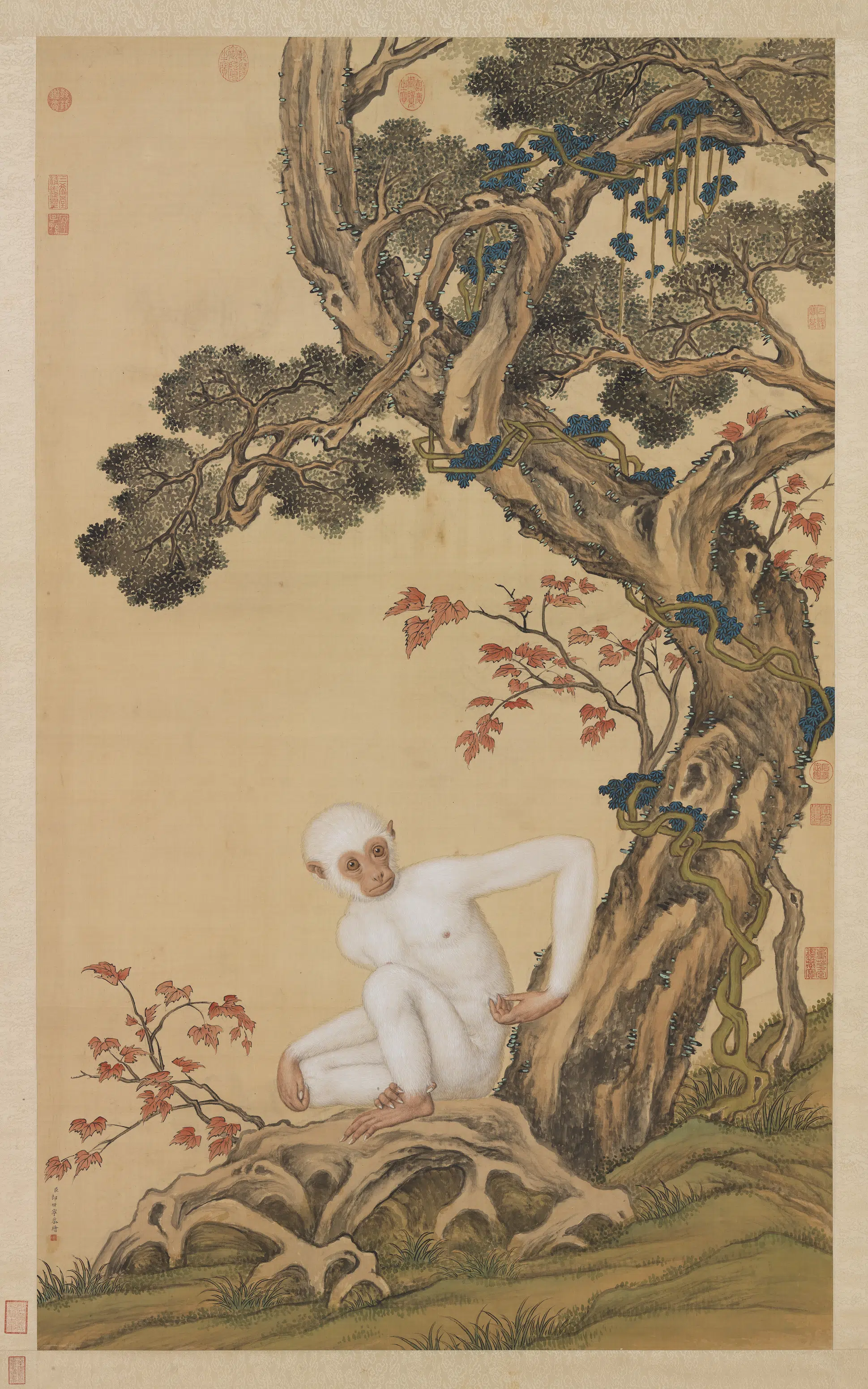 清代【郎世宁】《画白猿图轴》