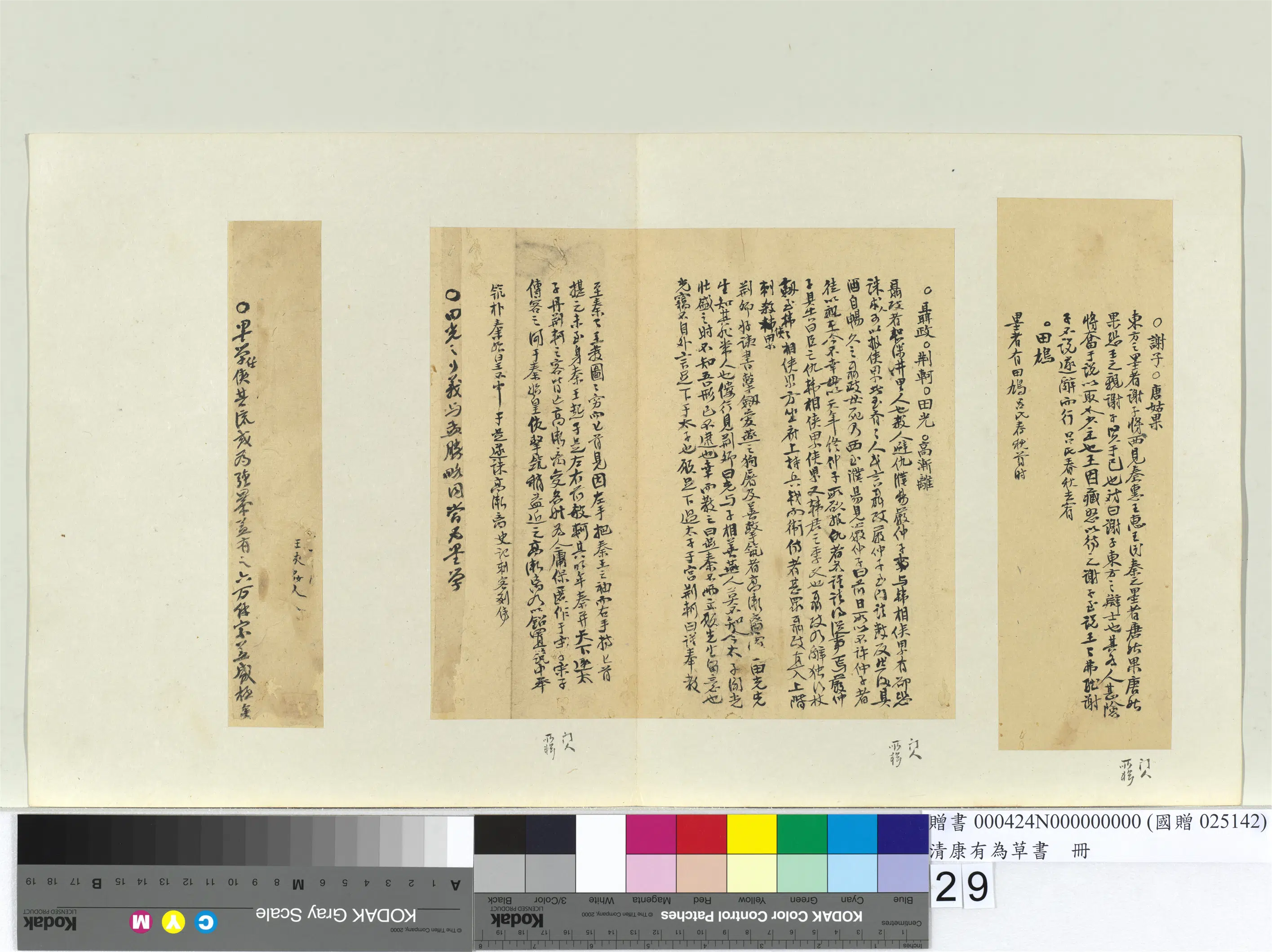 清代【康有为】《草书册》 第22张