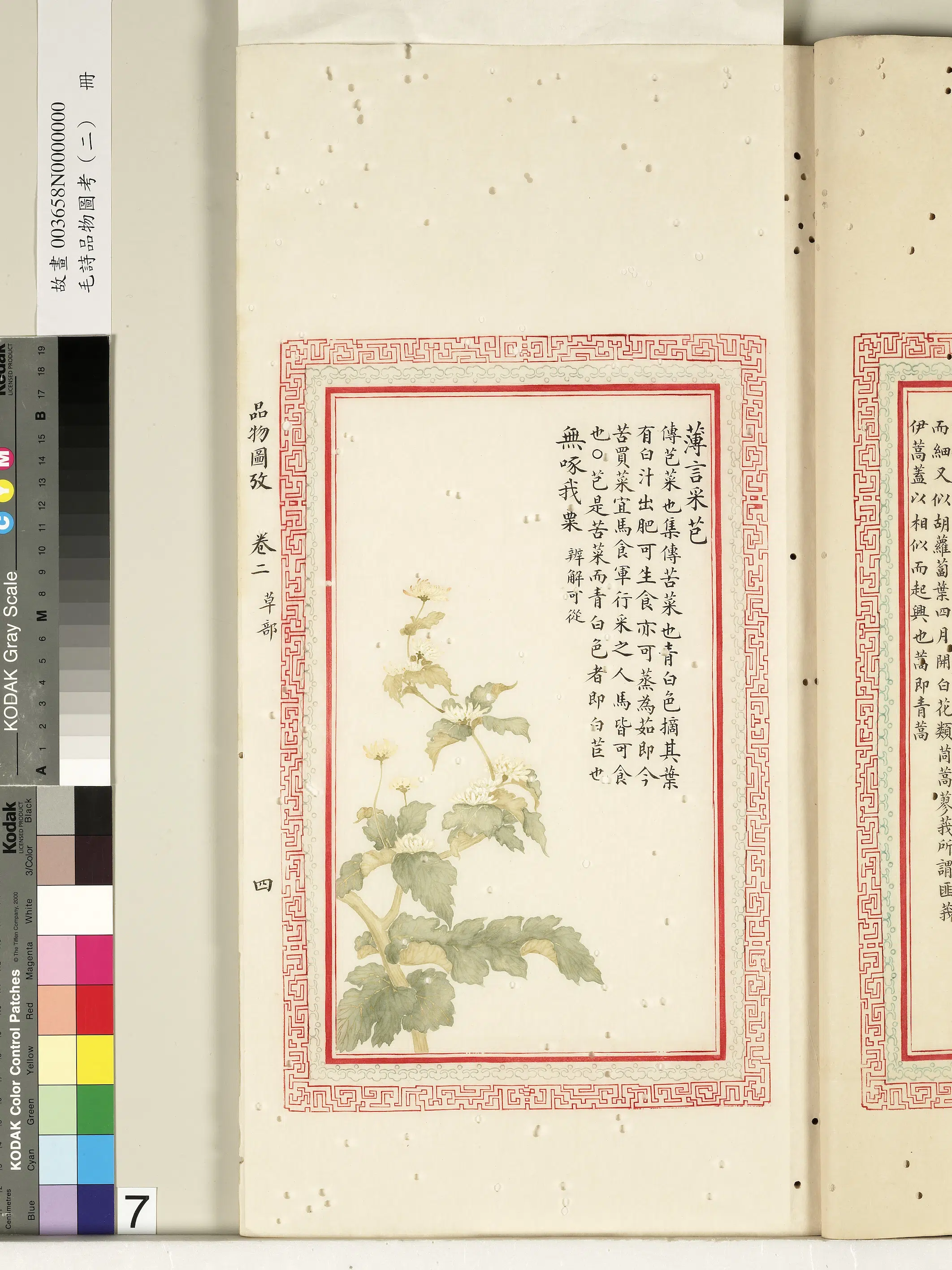 清朝【佚名】《毛诗品物图考（二）册-薄言采芑无啄我粟-2》