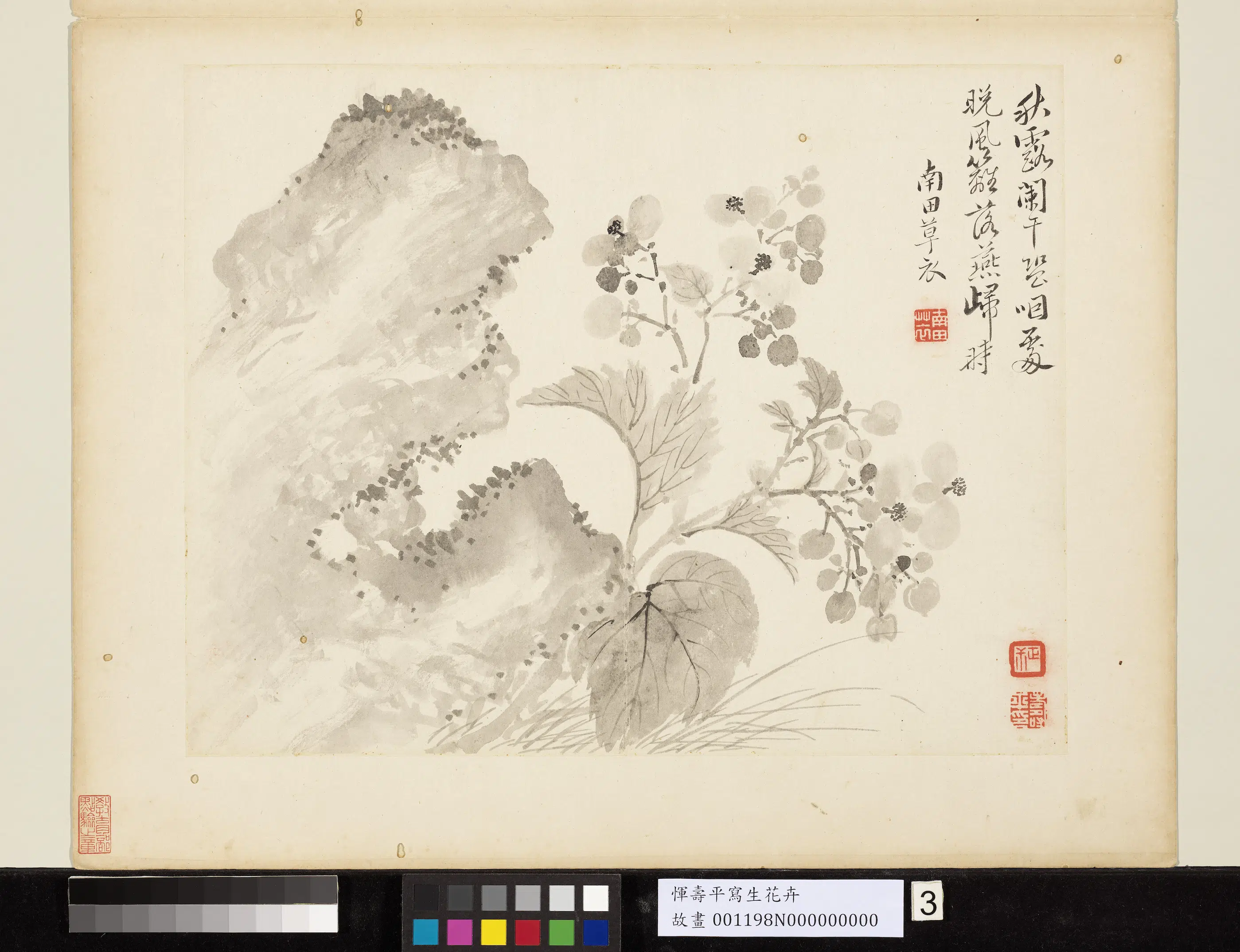 清代【恽寿平】《写生花卉册》 第9张 清代【恽寿平】《写生花卉册》 第9张