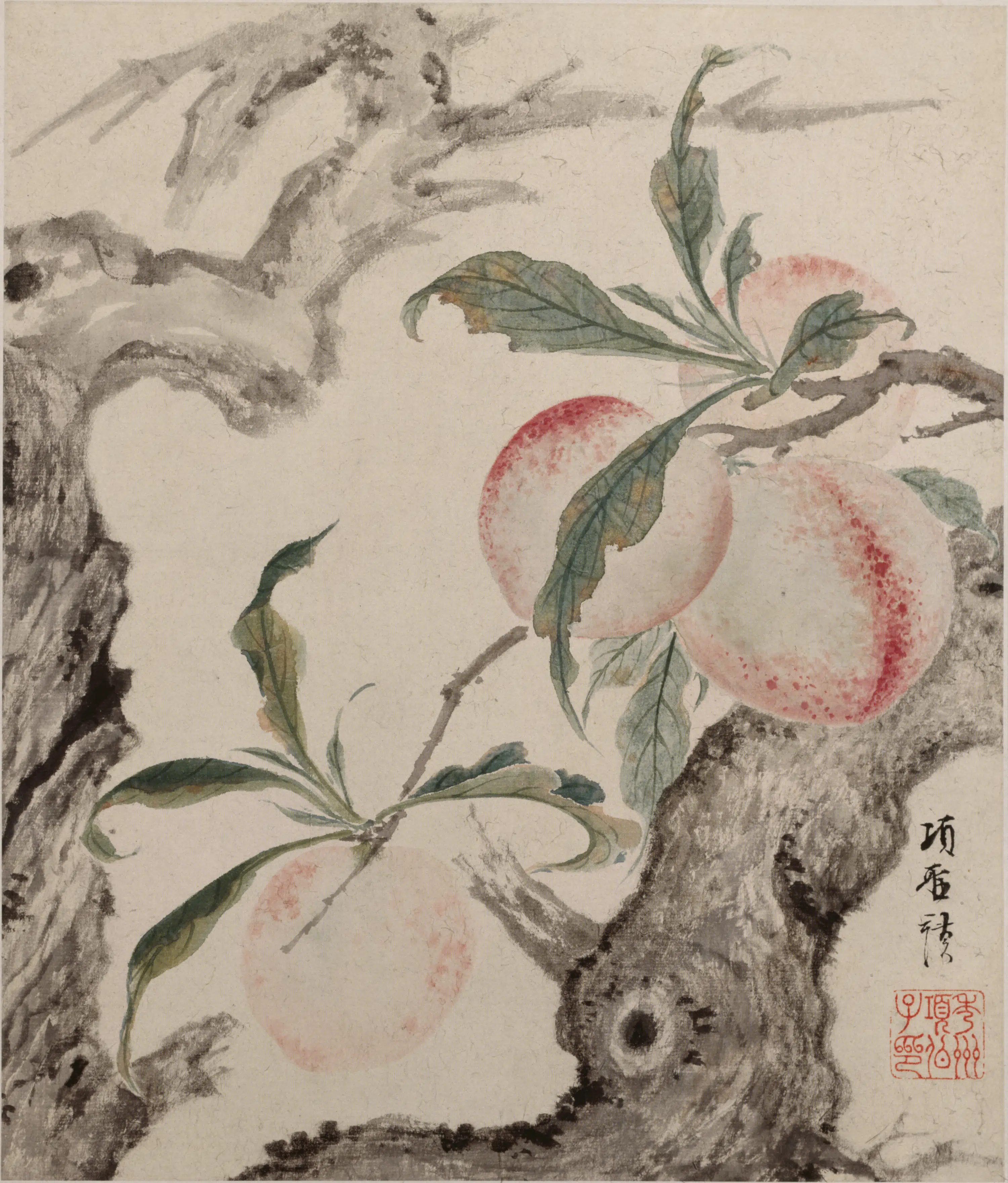 明朝【项圣谟】《花卉草虫册（8开）》 第6张