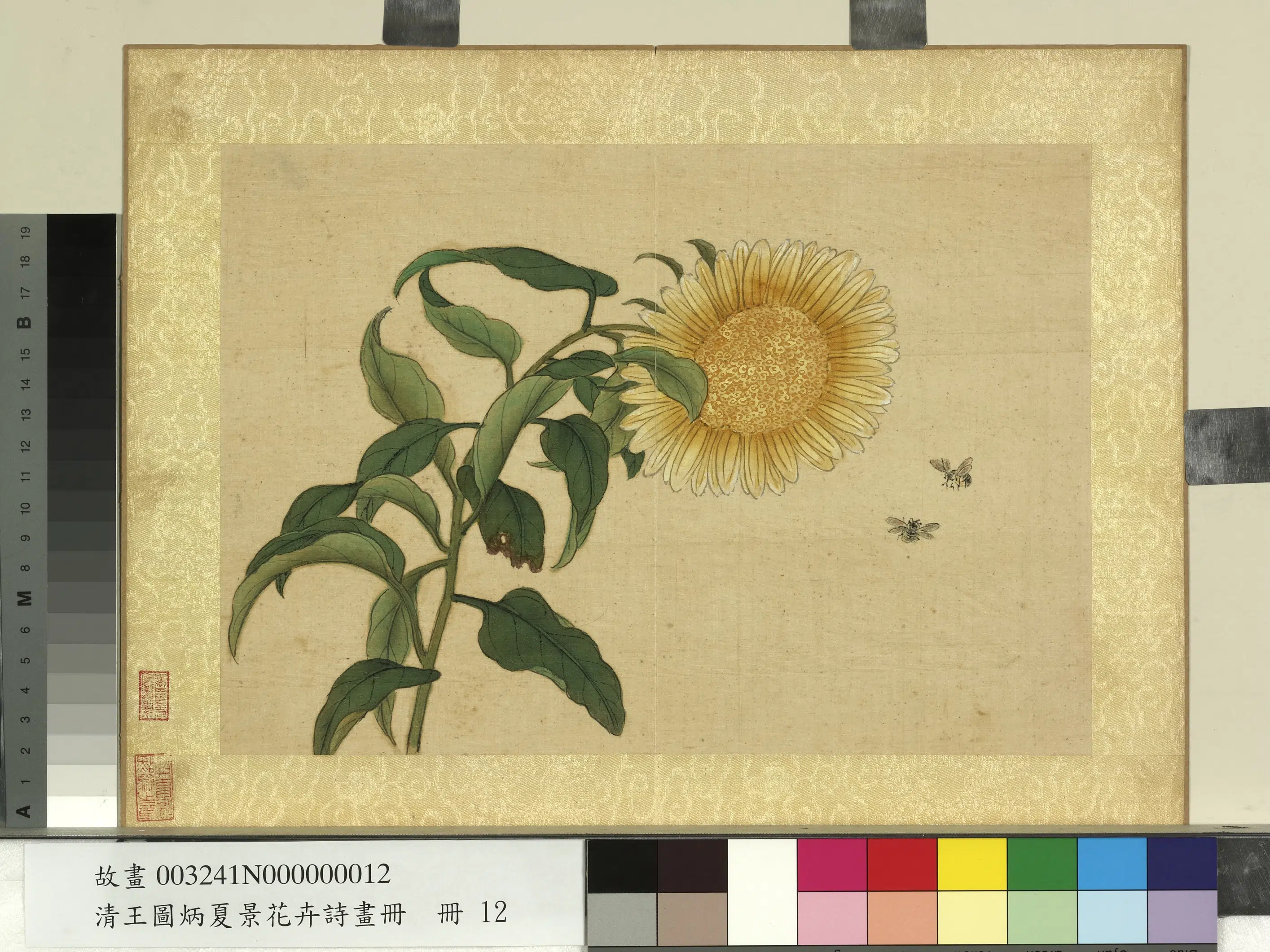 清代【王图炳】《夏景花卉诗画册》 第11张 清代【王图炳】《夏景花卉诗画册》 第11张