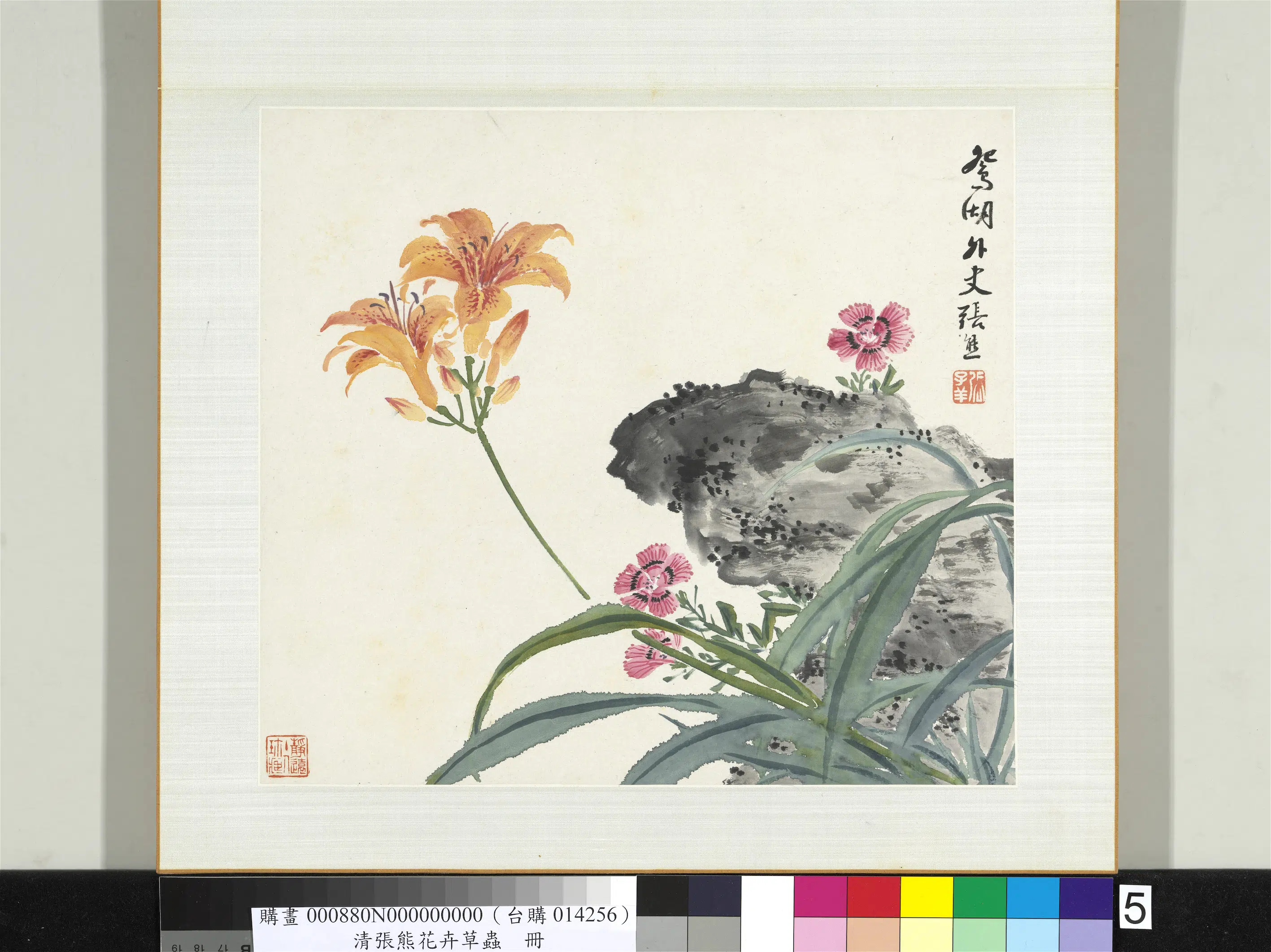 清代【张熊】《花卉草虫册-（五）》