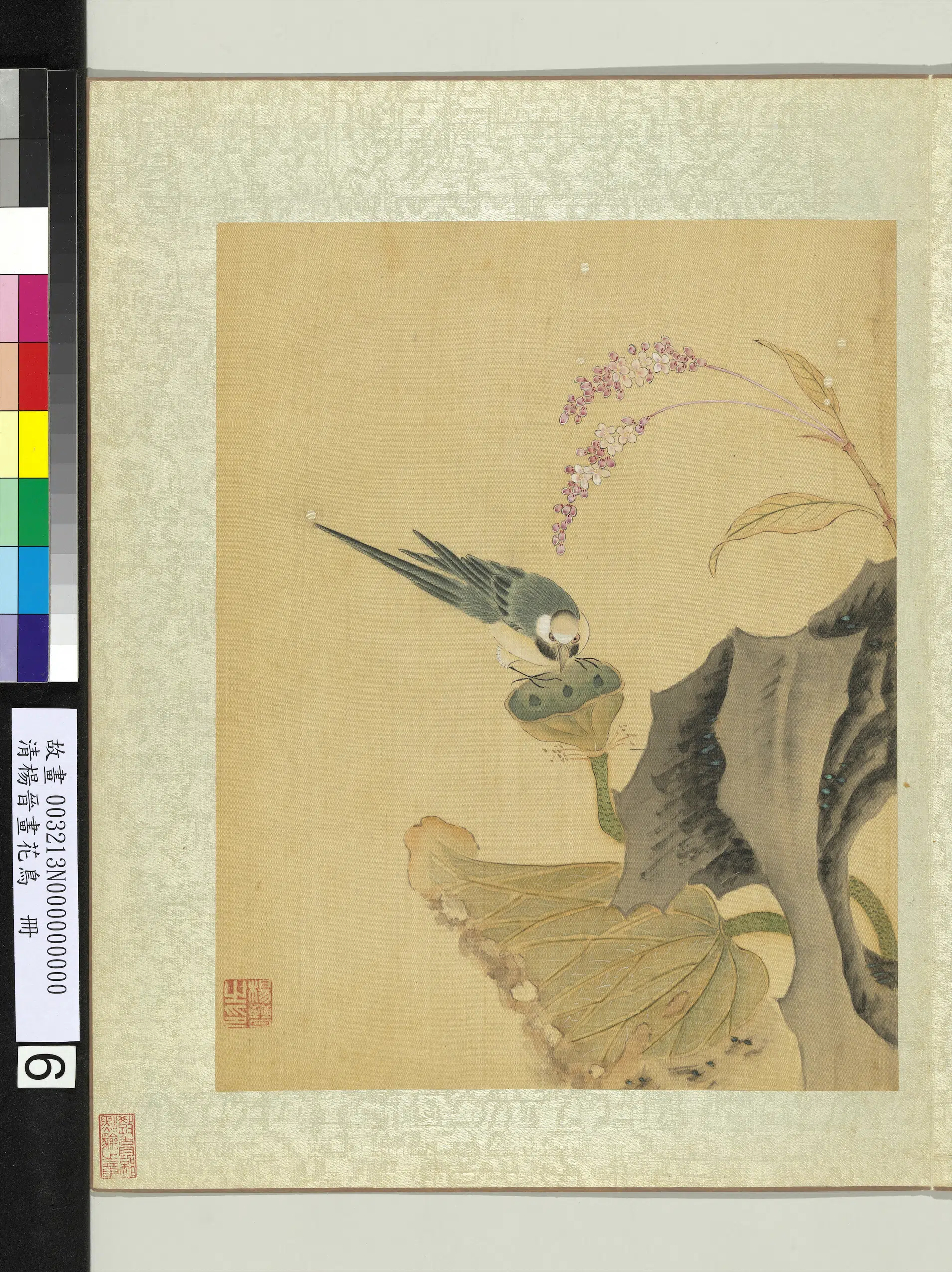 清代【杨晋】《画花鸟册-莲房鹡鸰》