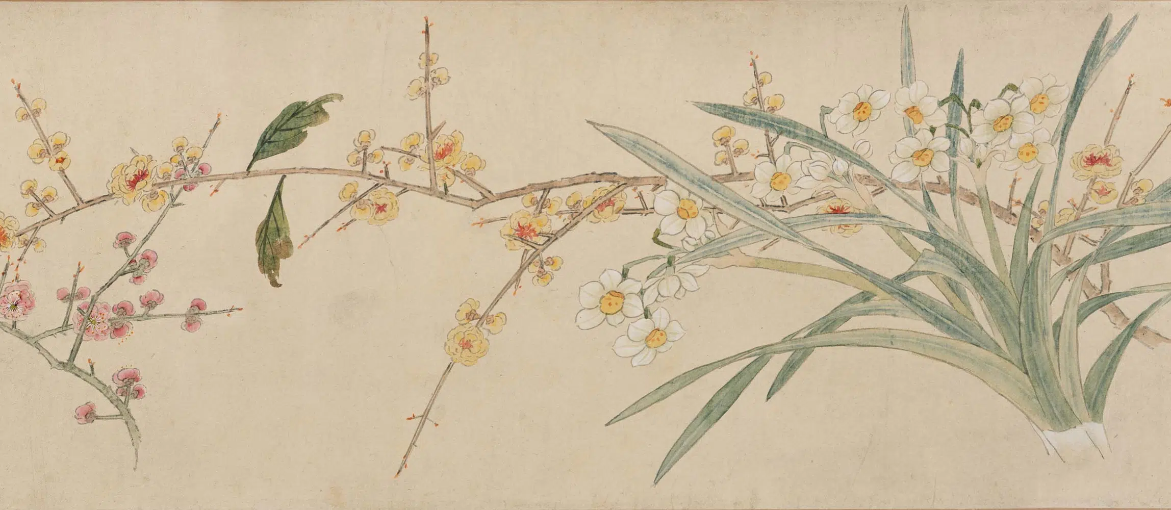 明朝【孙克弘】《设色花卉卷》 第2张 明朝【孙克弘】《设色花卉卷》 第2张