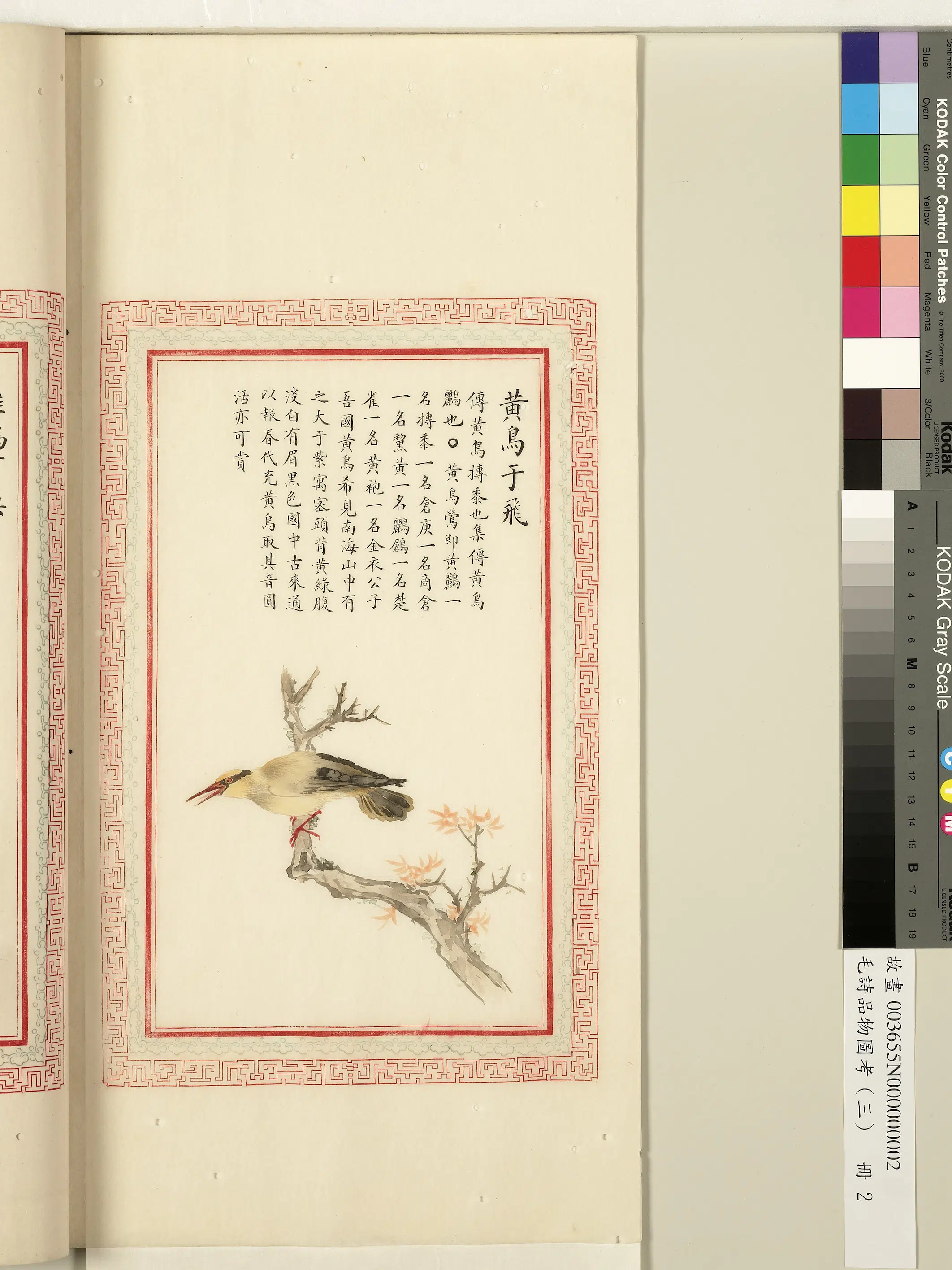 清代《毛诗品物图考(三)册-1》 第62张 清代《毛诗品物图考(三)册-1》 第62张