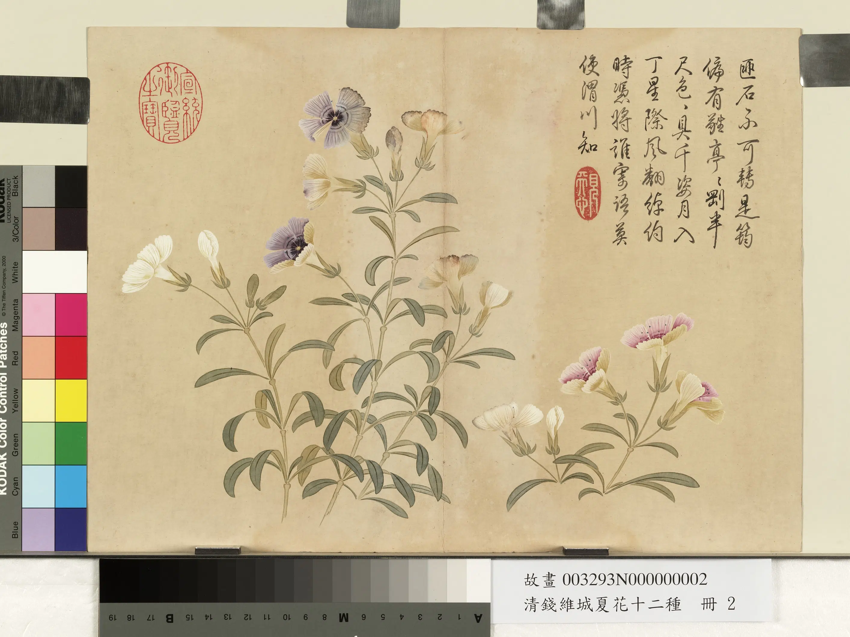 清代【钱维城】《夏华十二种册》 第5张 清代【钱维城】《夏华十二种册》 第5张