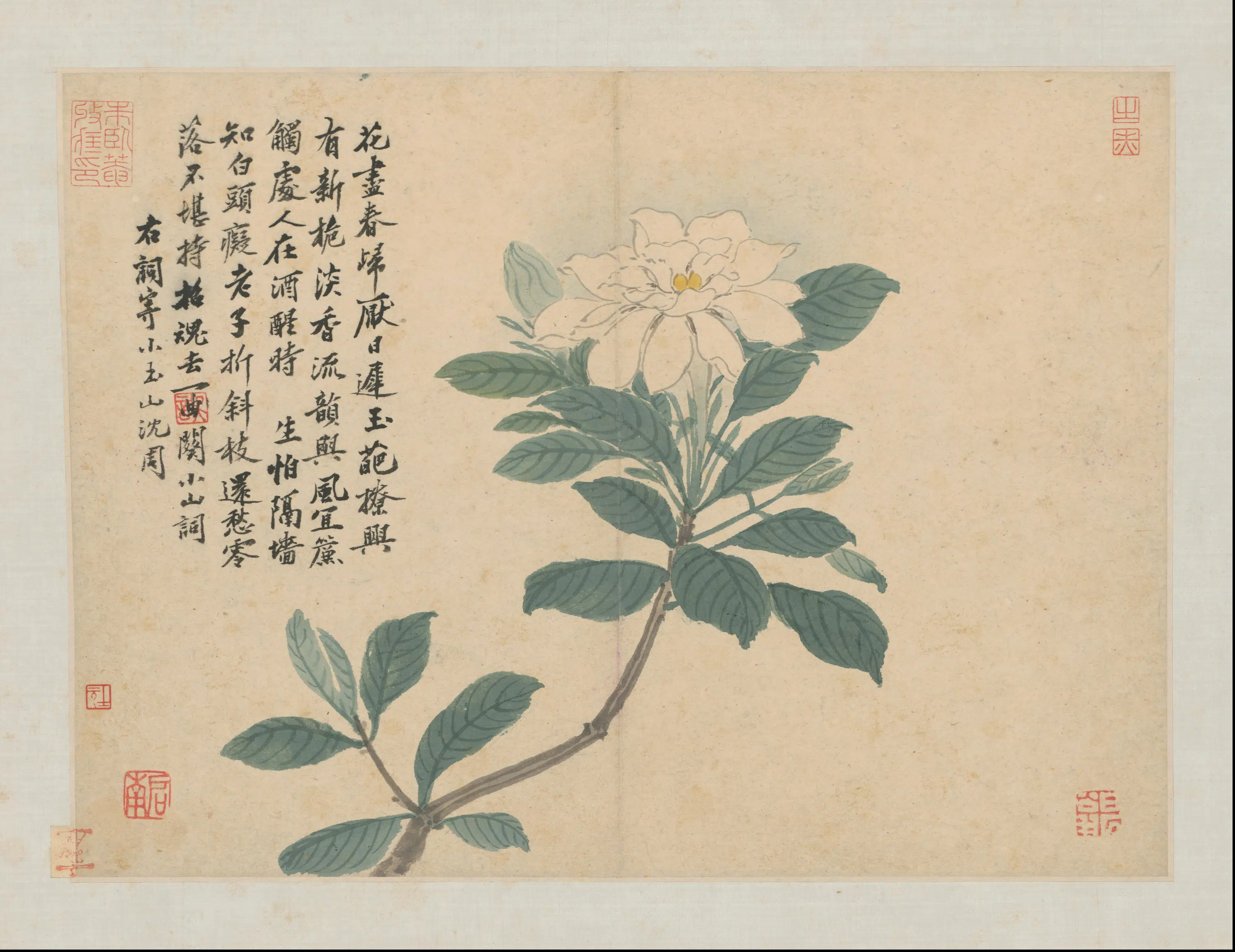 明代【沈周】《石田卧游图册-21开》 第6张
