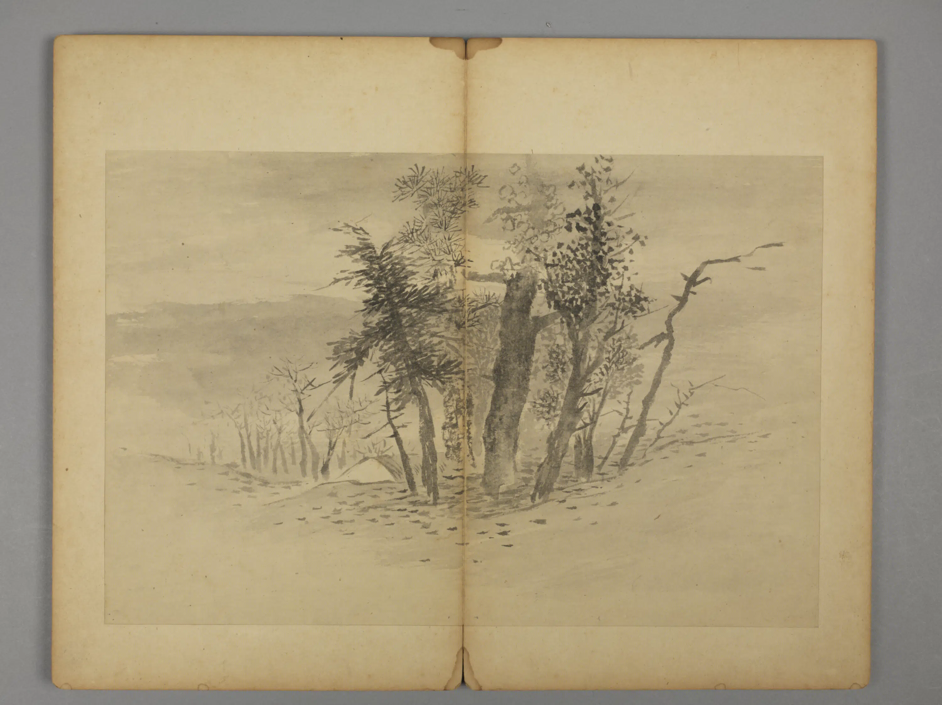 清代【王六真】《杂画册》 第2张