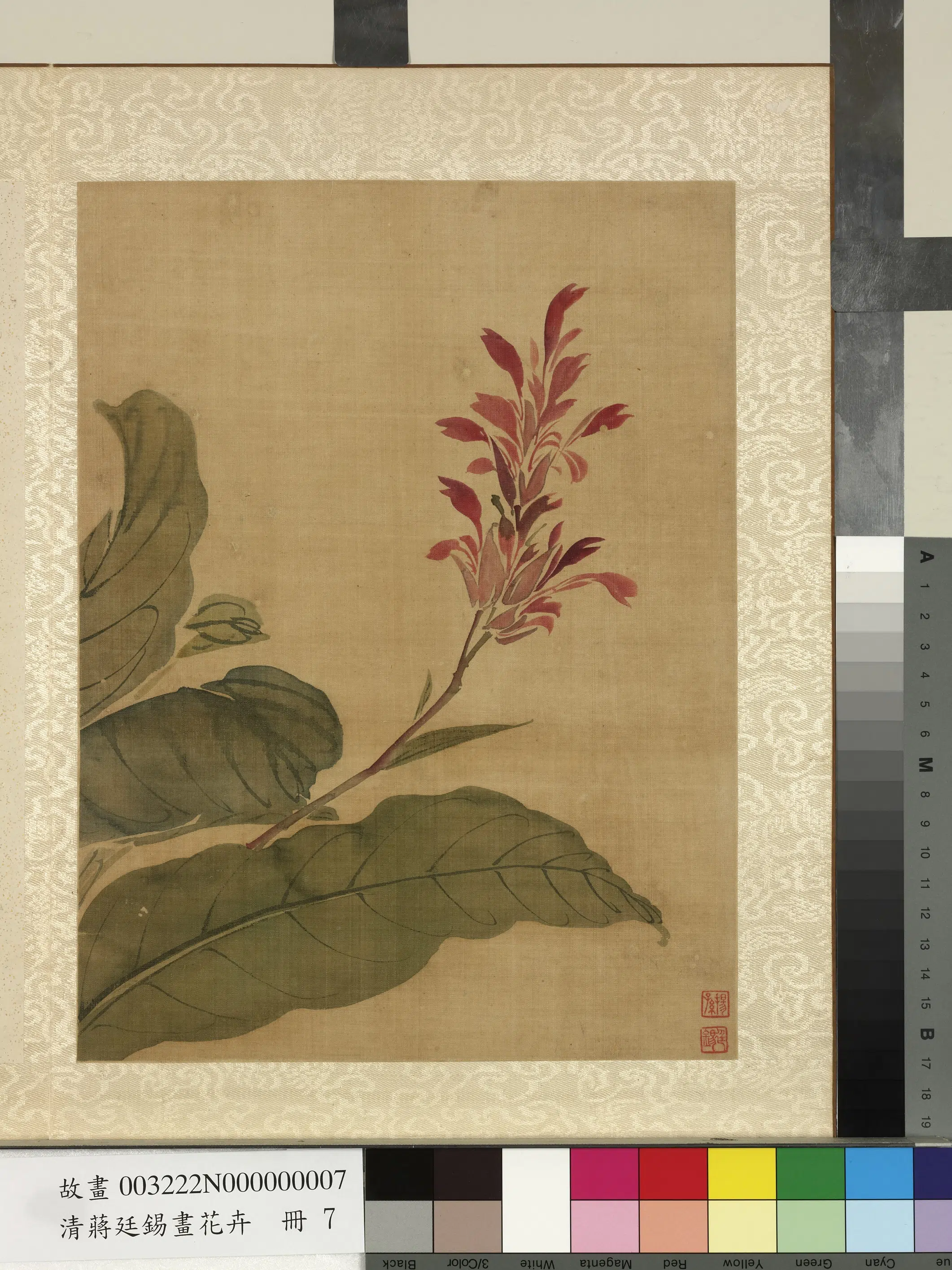 清代【蒋廷锡】《画花卉册》 第9张