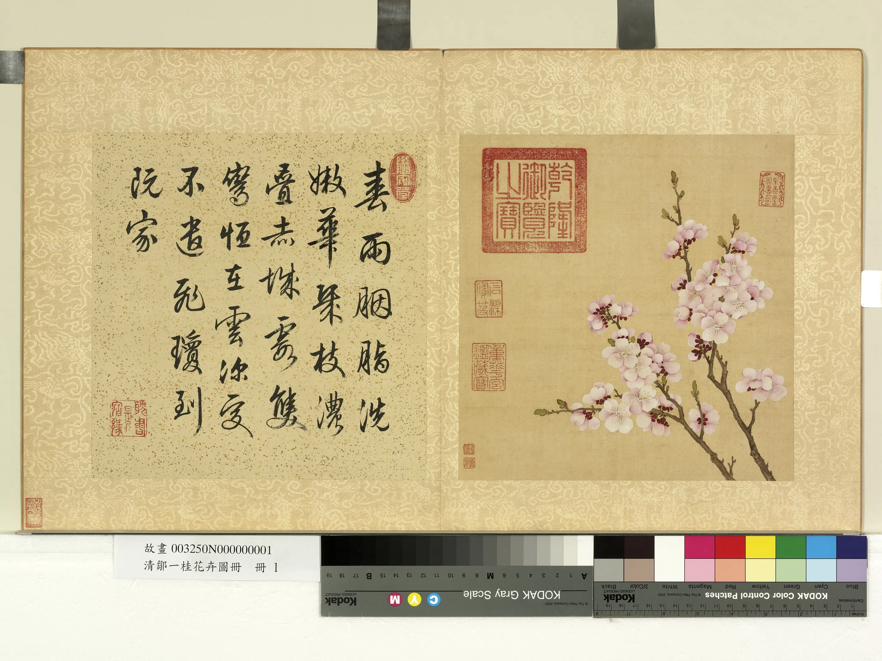 清代【邹一桂】《花卉画册-杏花》