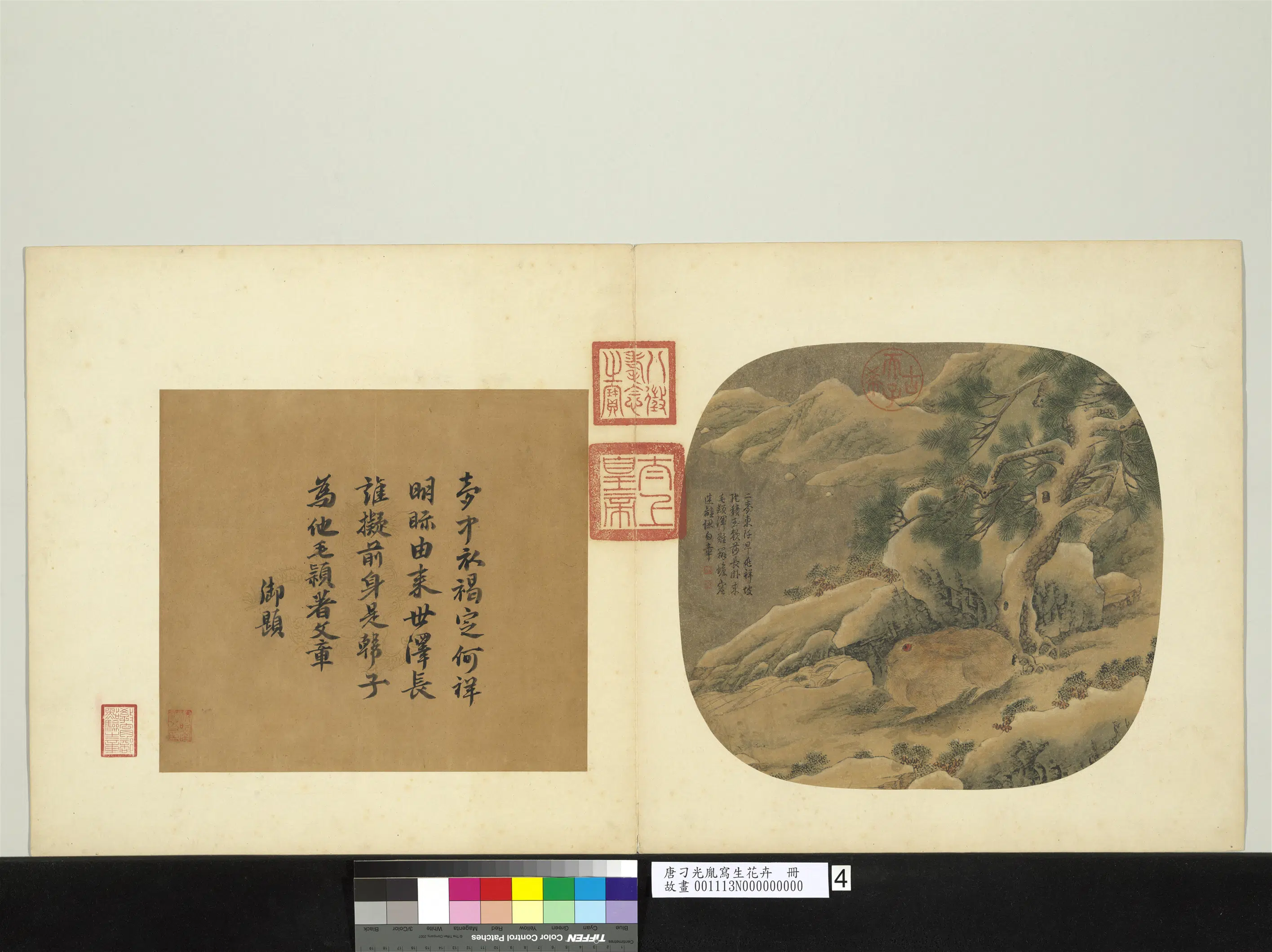 唐朝【刁光胤】《写生花卉册-乔松卧兔石罅流泉》
