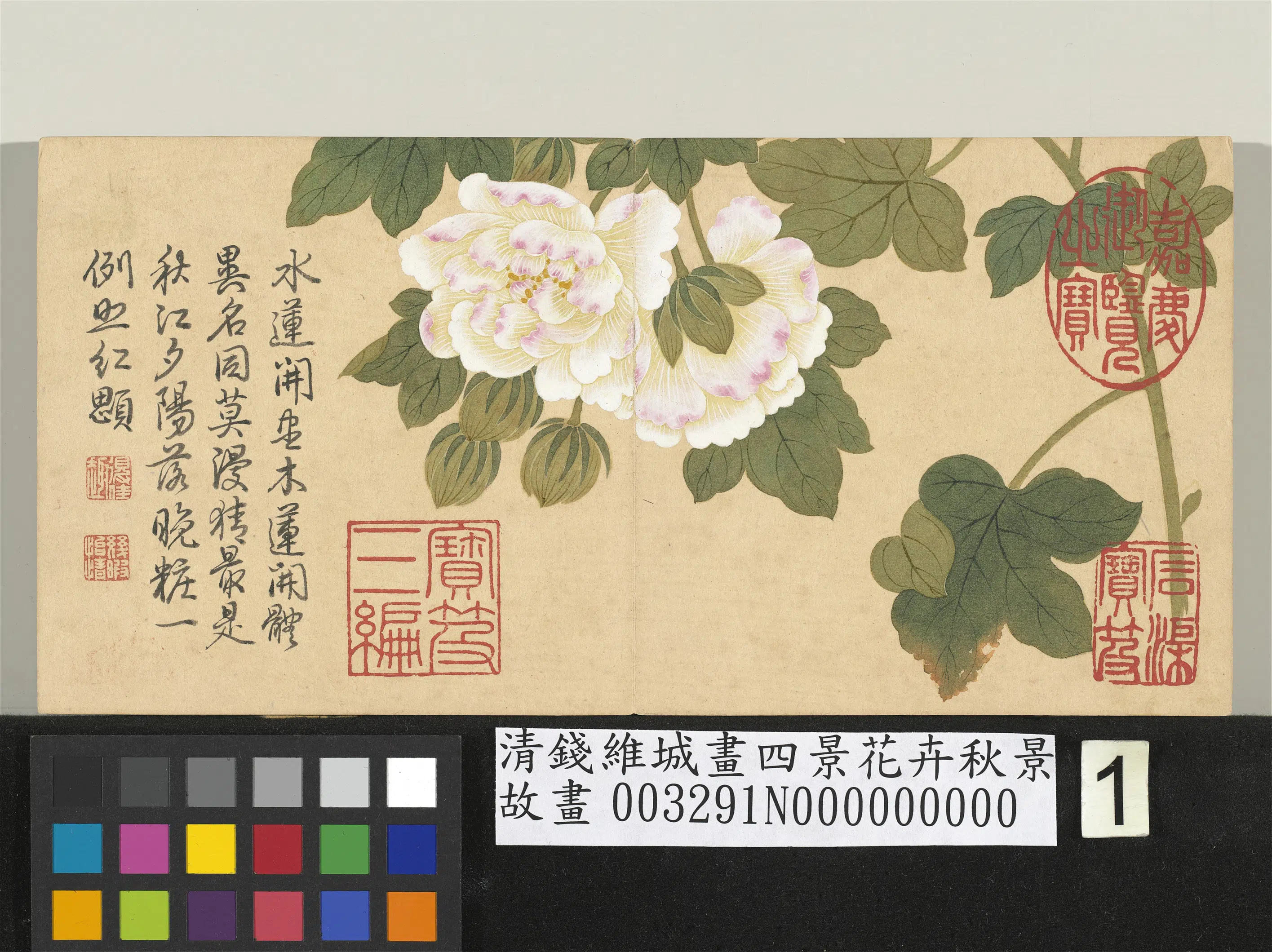 清代【钱维城】《画四景花卉秋景册-木芙蓉》