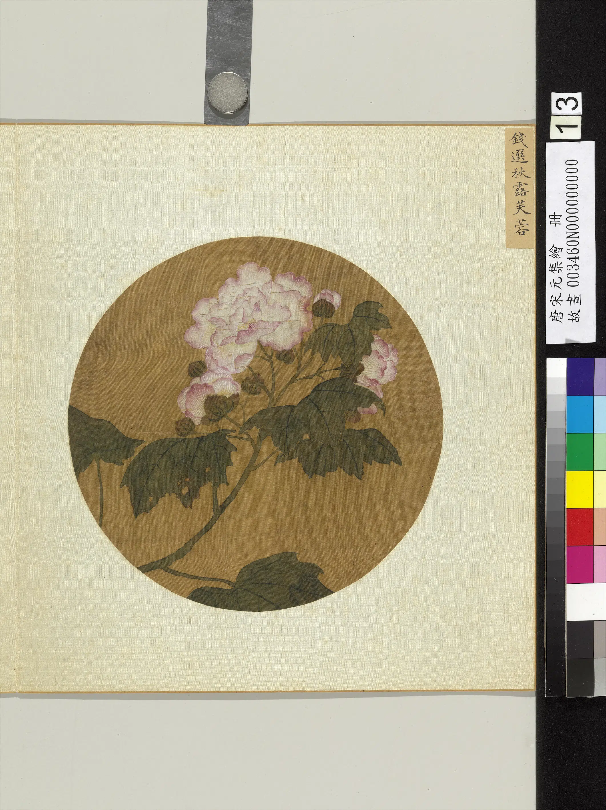 宋-元朝【钱选】《秋露芙蓉图_唐宋元集绘册》
