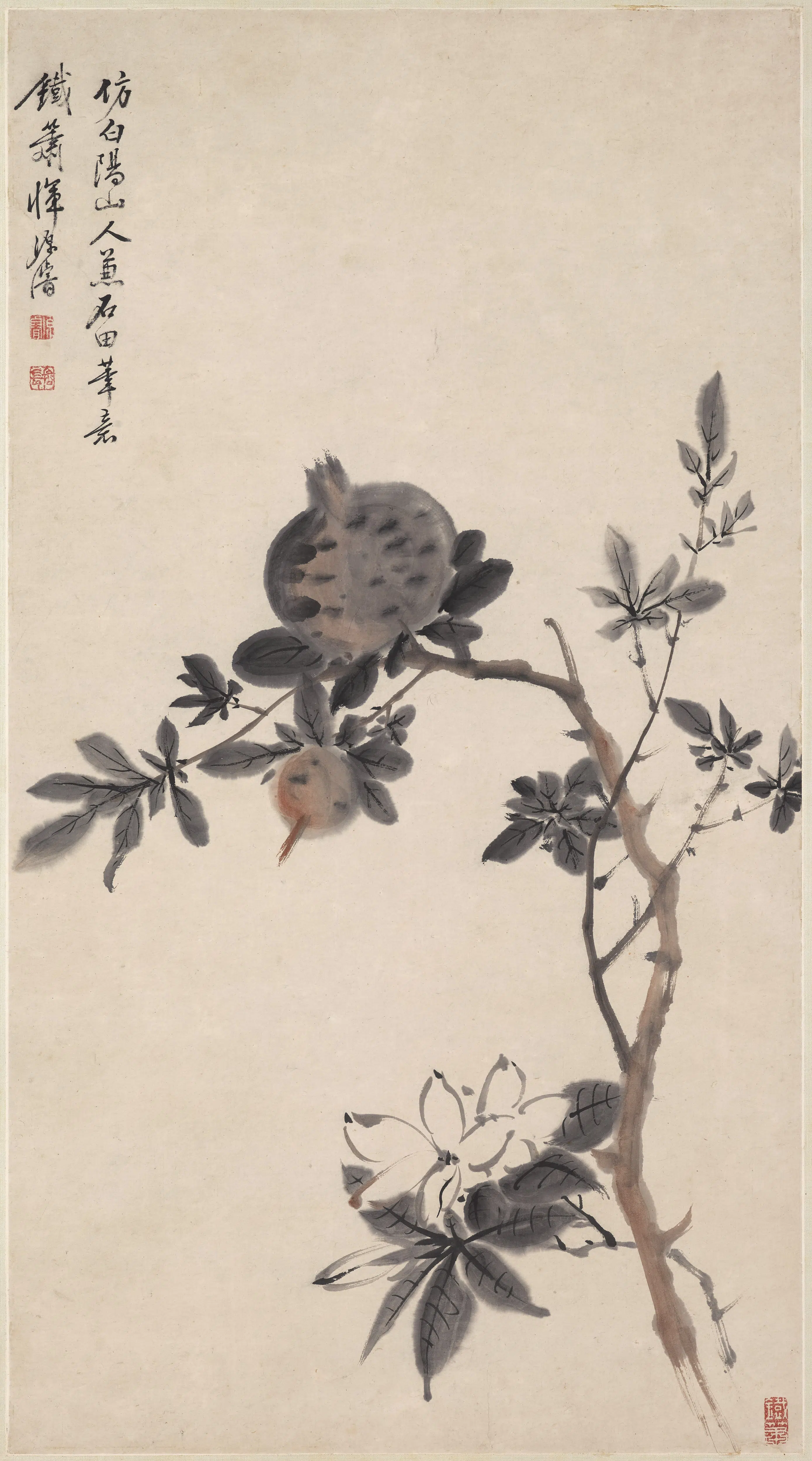 清代【恽源濬（浚）】《石榴图轴》