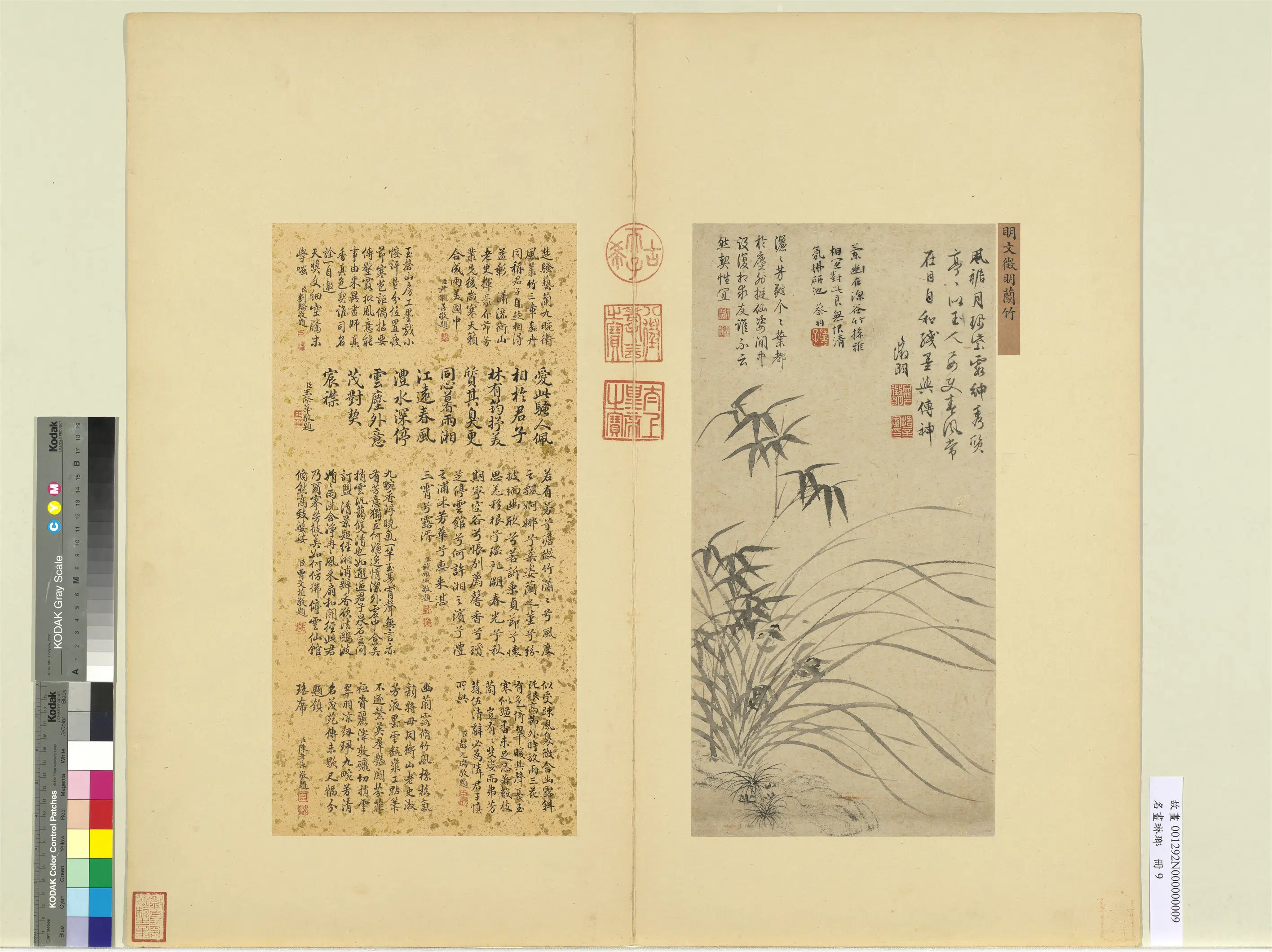 明朝【文征明徵明】《名画琳琅册-兰竹》