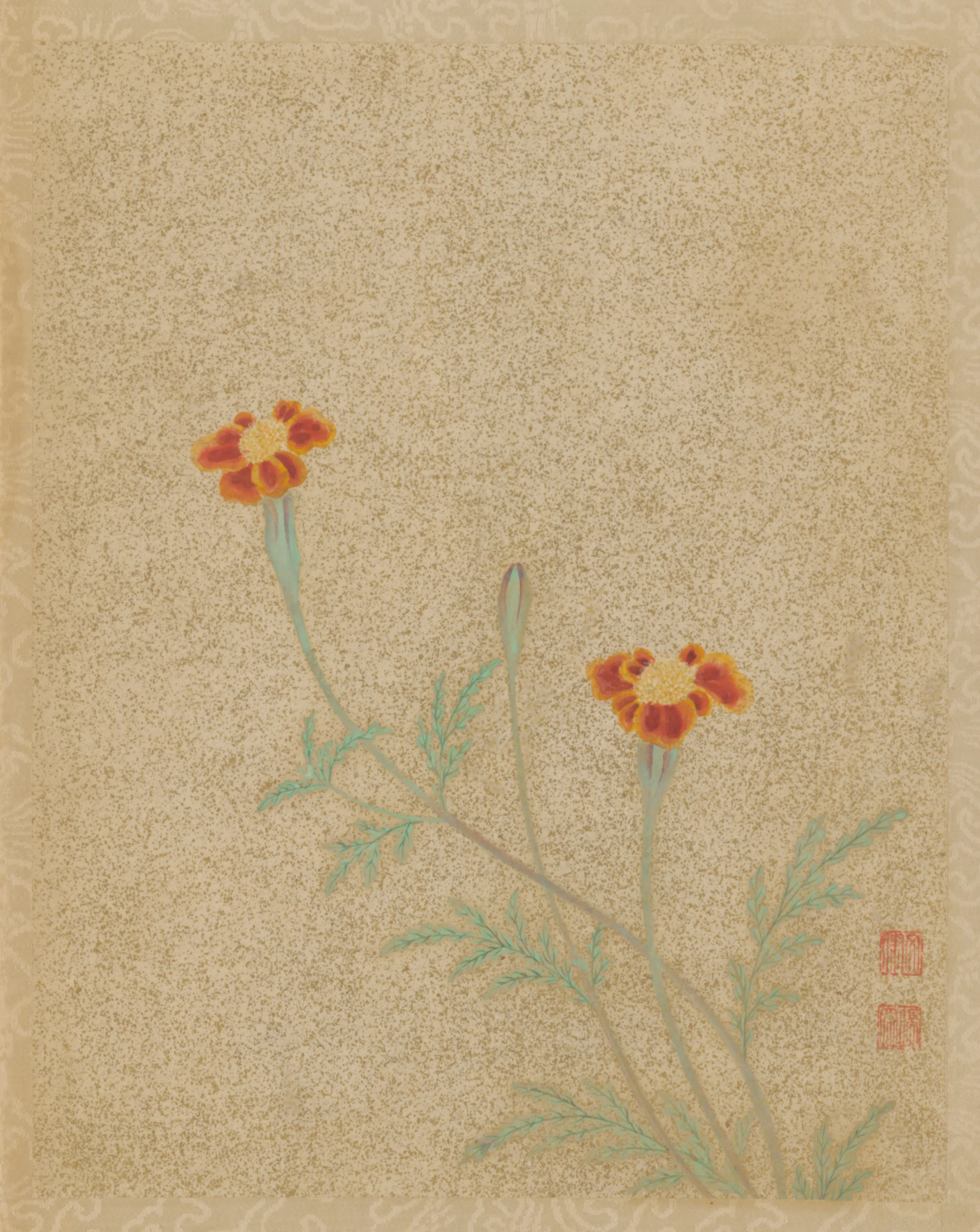明朝【文俶】《花卉册（10开）》