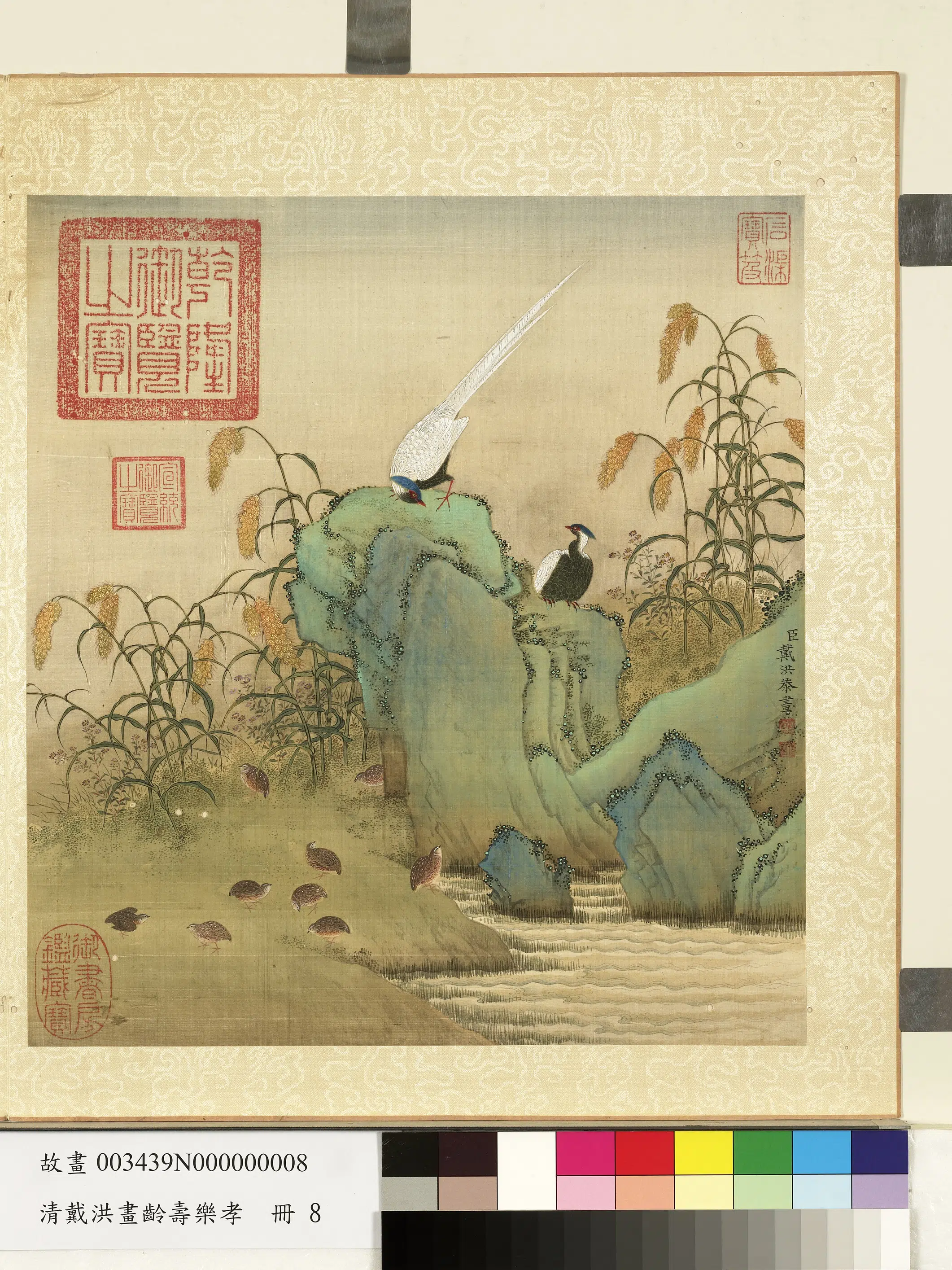 清代【戴洪】《画龄寿乐孝册-鹌鹑花石》
