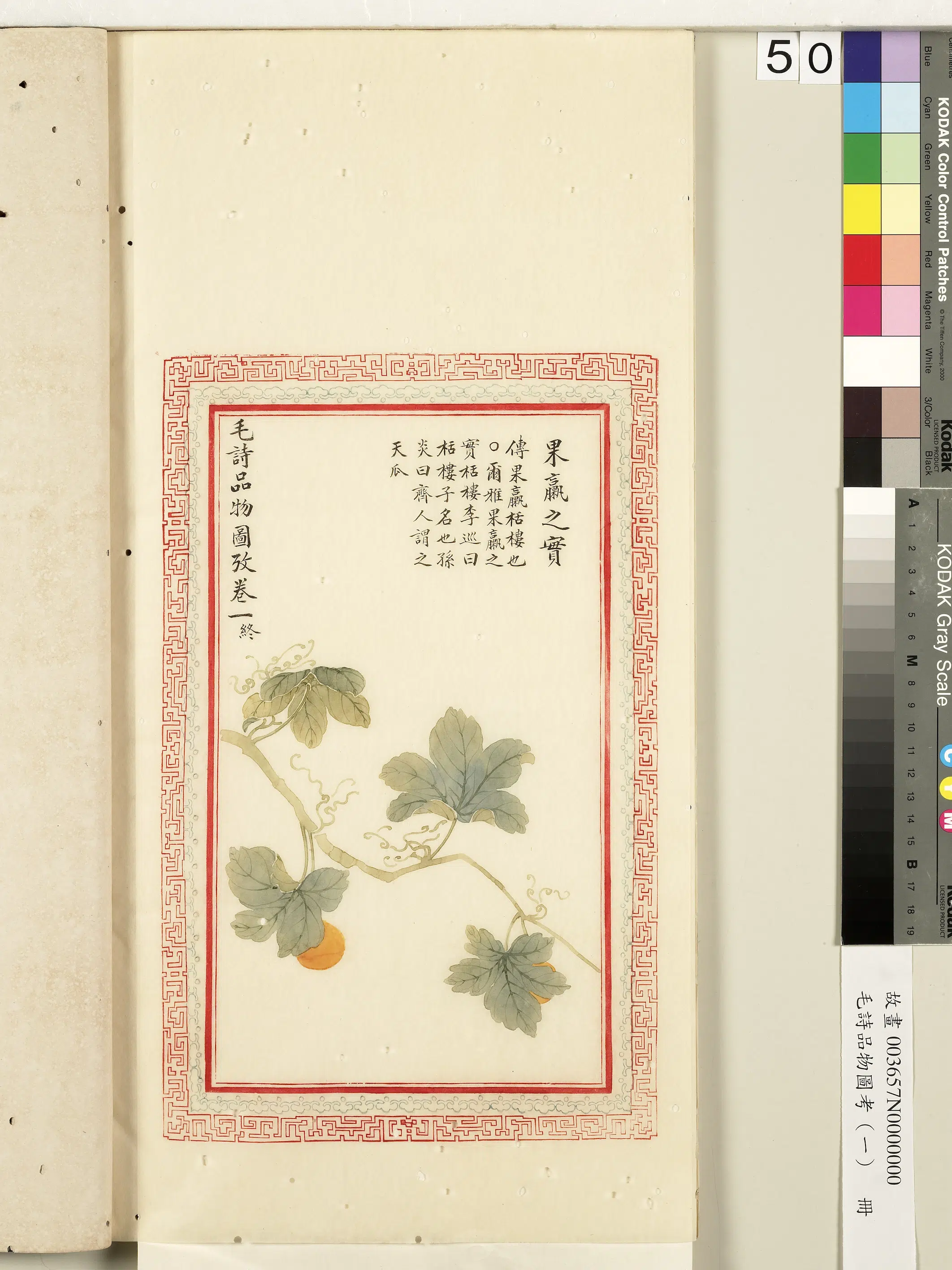 清朝【佚名】《毛诗品物图考（一）册-果臝之实-2》